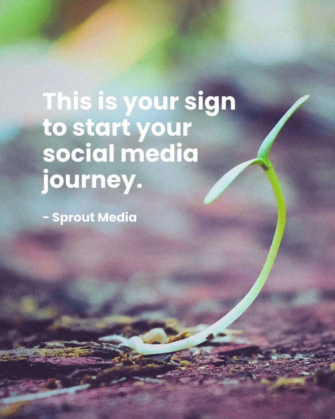 🌱 Every big brand started with a single post.

If you&rsquo;ve been waiting for the &ldquo;perfect&rdquo; time to start building your online presence&hellip; this is it. Show up, share your story, and watch your community grow, one post at a time.

