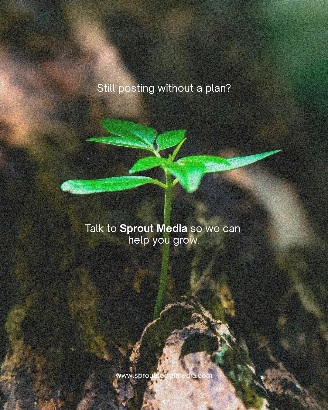 🌱 Posting without a plan is like planting seeds without water.
You might get a little growth, but it&rsquo;ll never reach its full potential 🌱

At Sprout Media, we create strategies that help your social media thrive, so every post works toward you