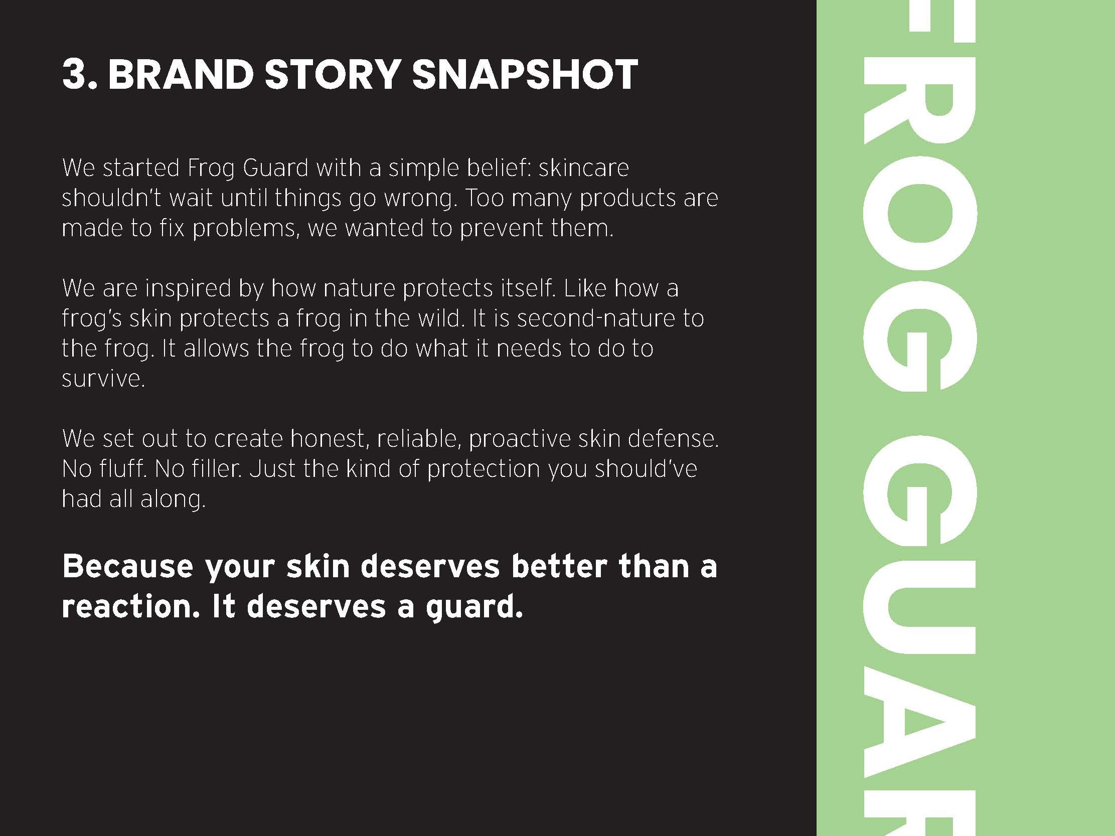 Brand Kit - Brand Story Snapshot