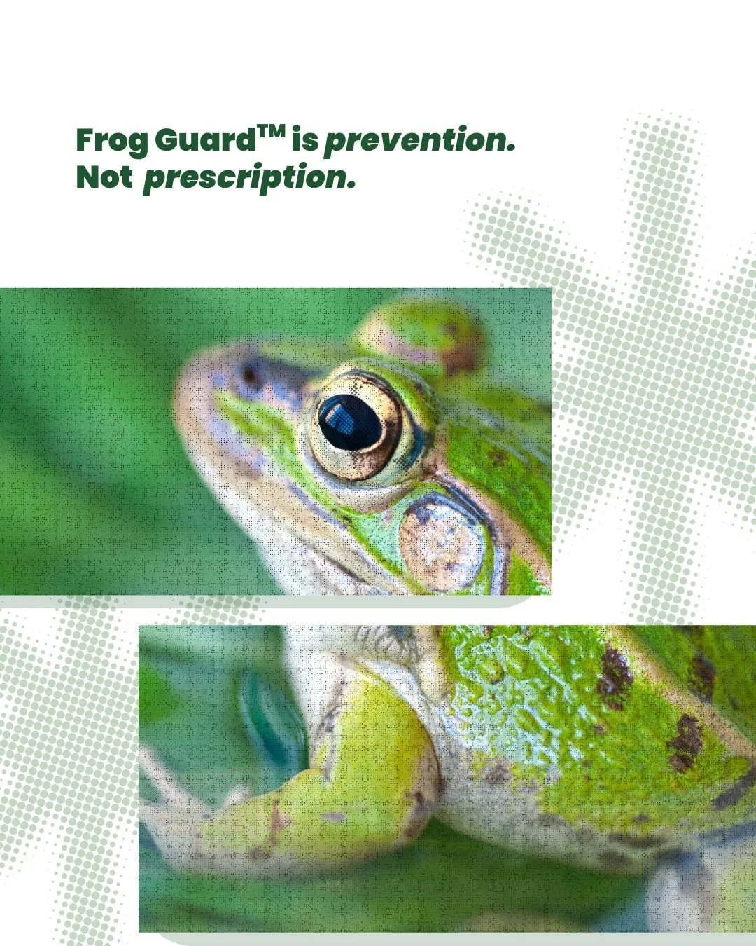 Frog Guard skincare ad featuring close-up images of a frog with the tagline ‘Frog Guard is prevention, not prescription.'