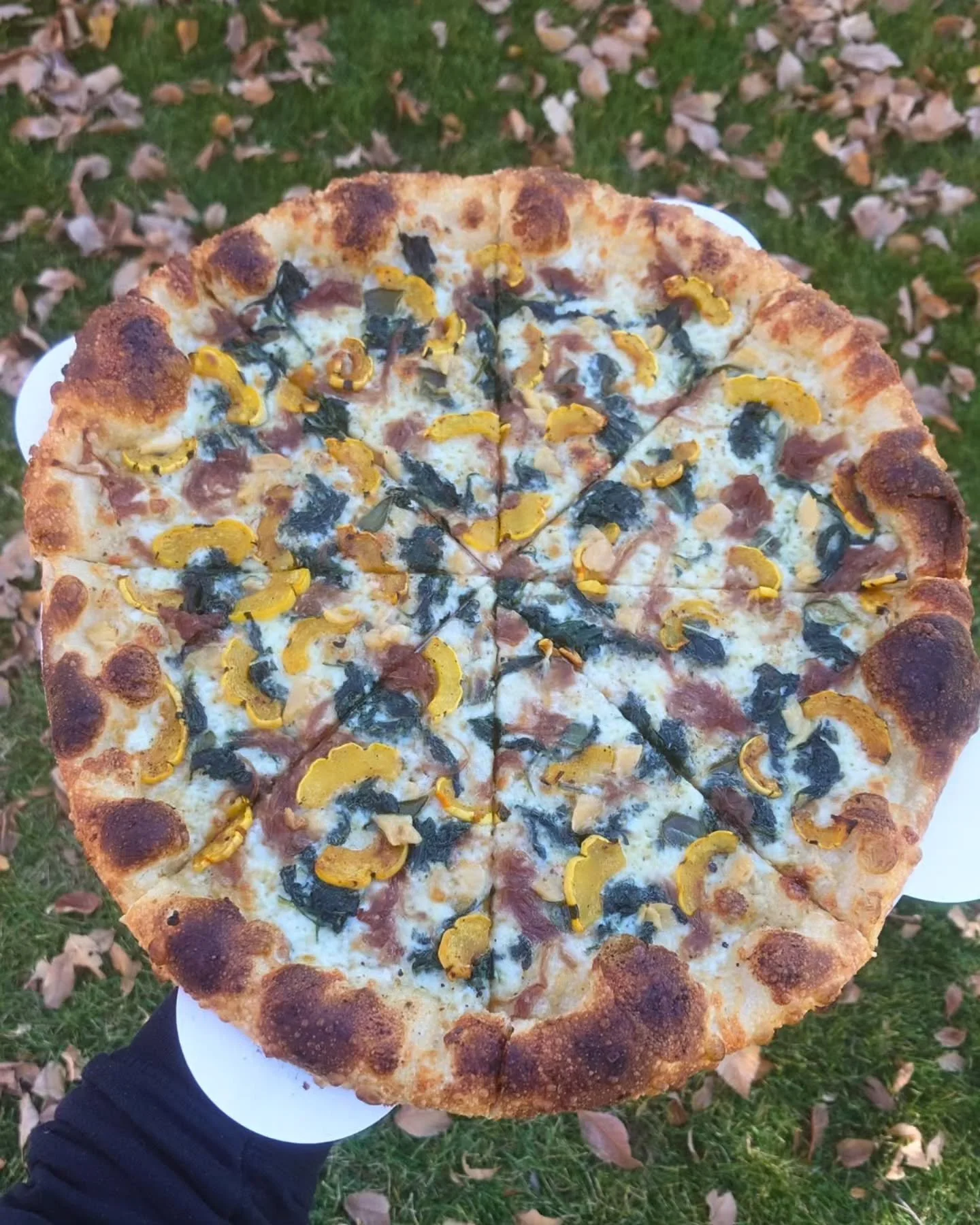 🚨🍕🚨🍕New Special!!!🍕🚨🍕🚨
.
The Squash Pit: garlic cream, delicata squash, sauteed spinach, caramelized onions, roasted garlic, and fresh sage. This combo fits right in with all those leaves on the ground kinda vibes, just in time to enjoy this 