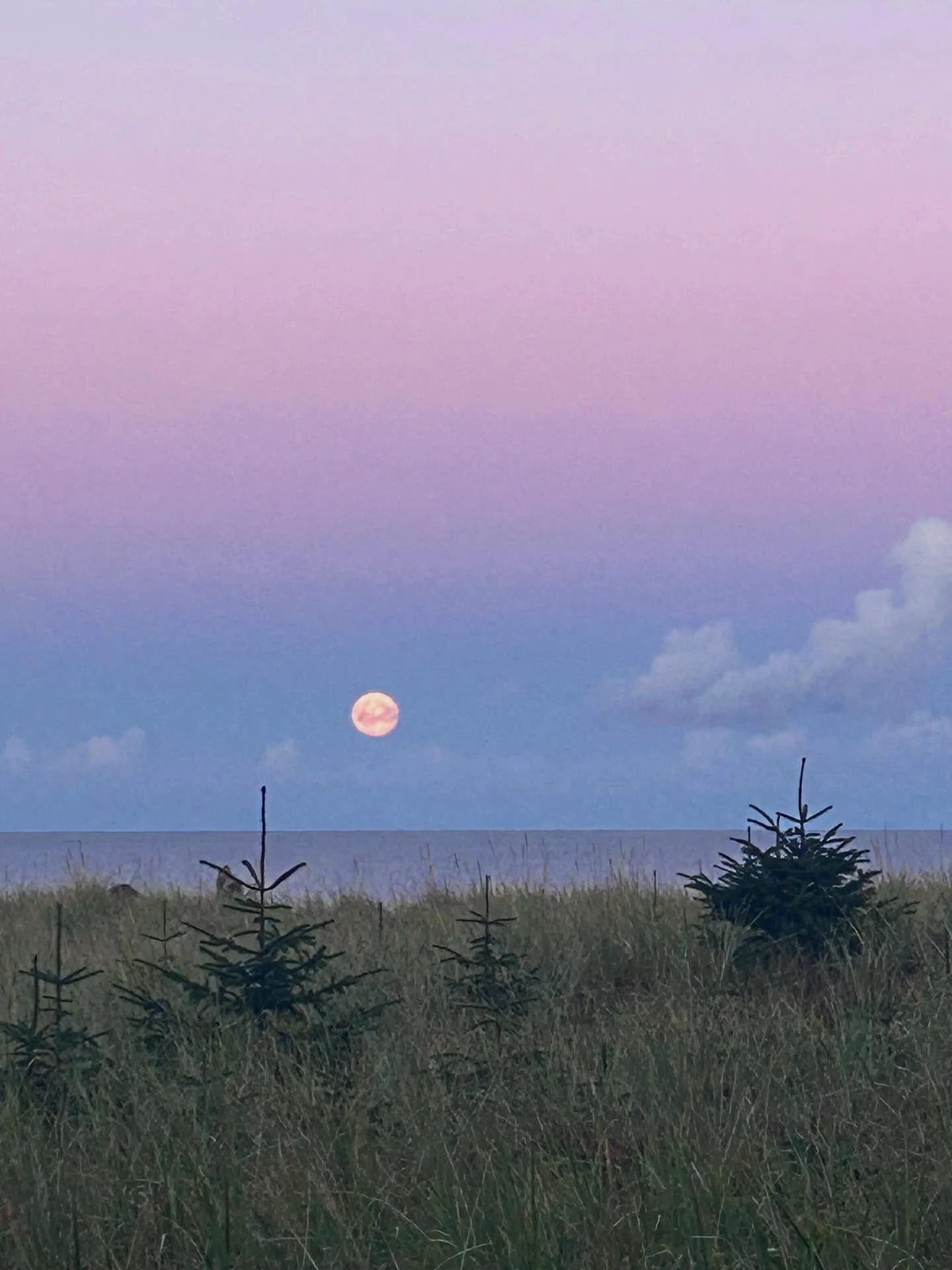 #moonrise #harvestmoon #takingstockoflife