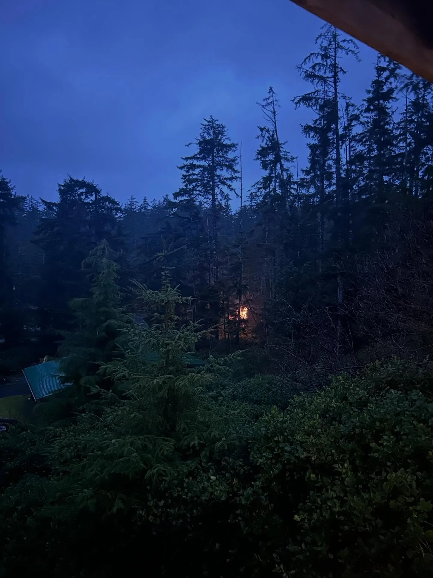 If you&rsquo;re wondering why the power went out #thatsnotgood #haidagwaii #winterstorm. Big Haawa to the #bchydro crew for getting it back on so quick!