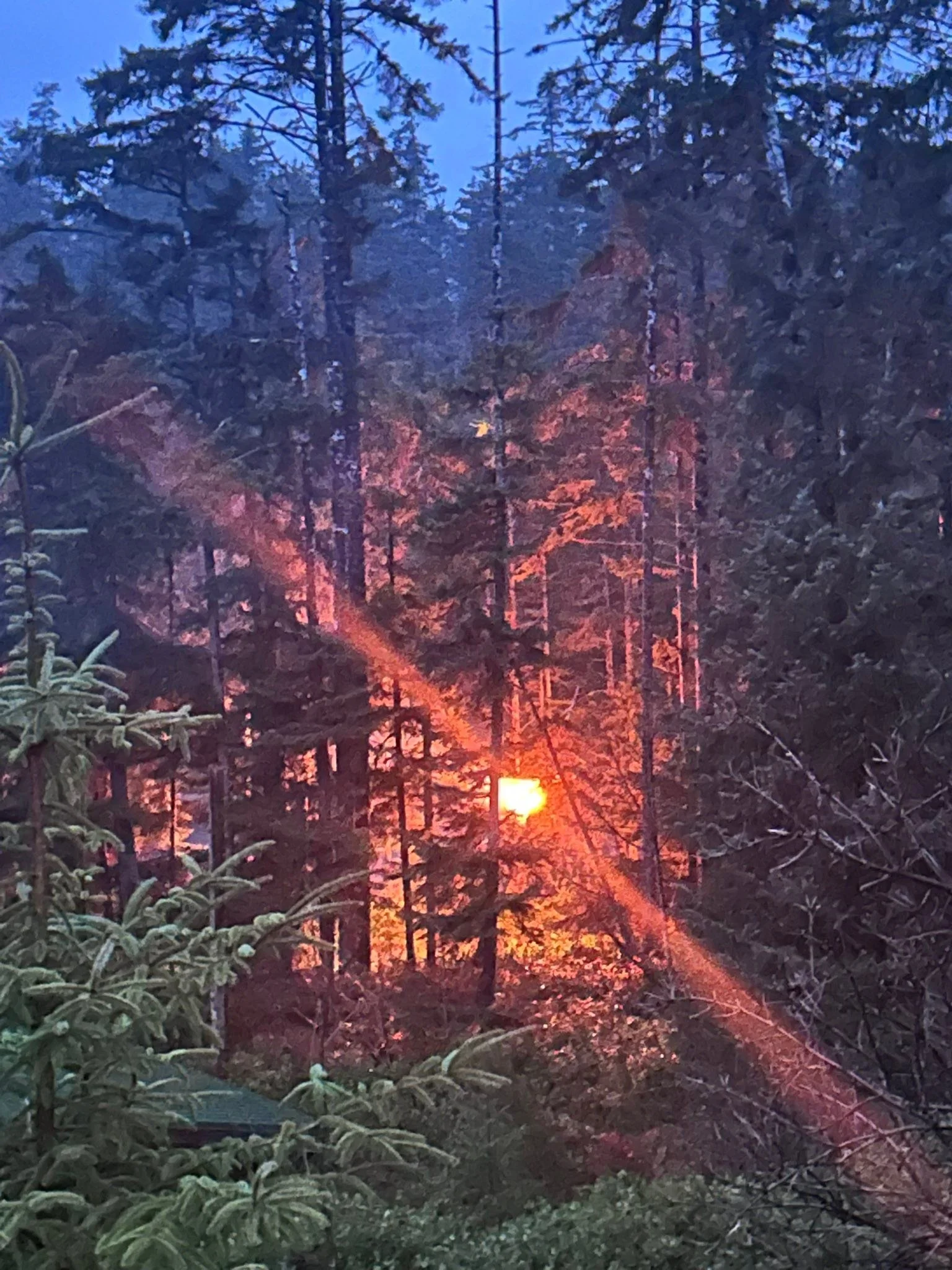 If you're wondering why the power went out #thatsnotgood #haidagwaii #winterstorm. Big Haawa to the #bchydro crew for getting it back on so quick!