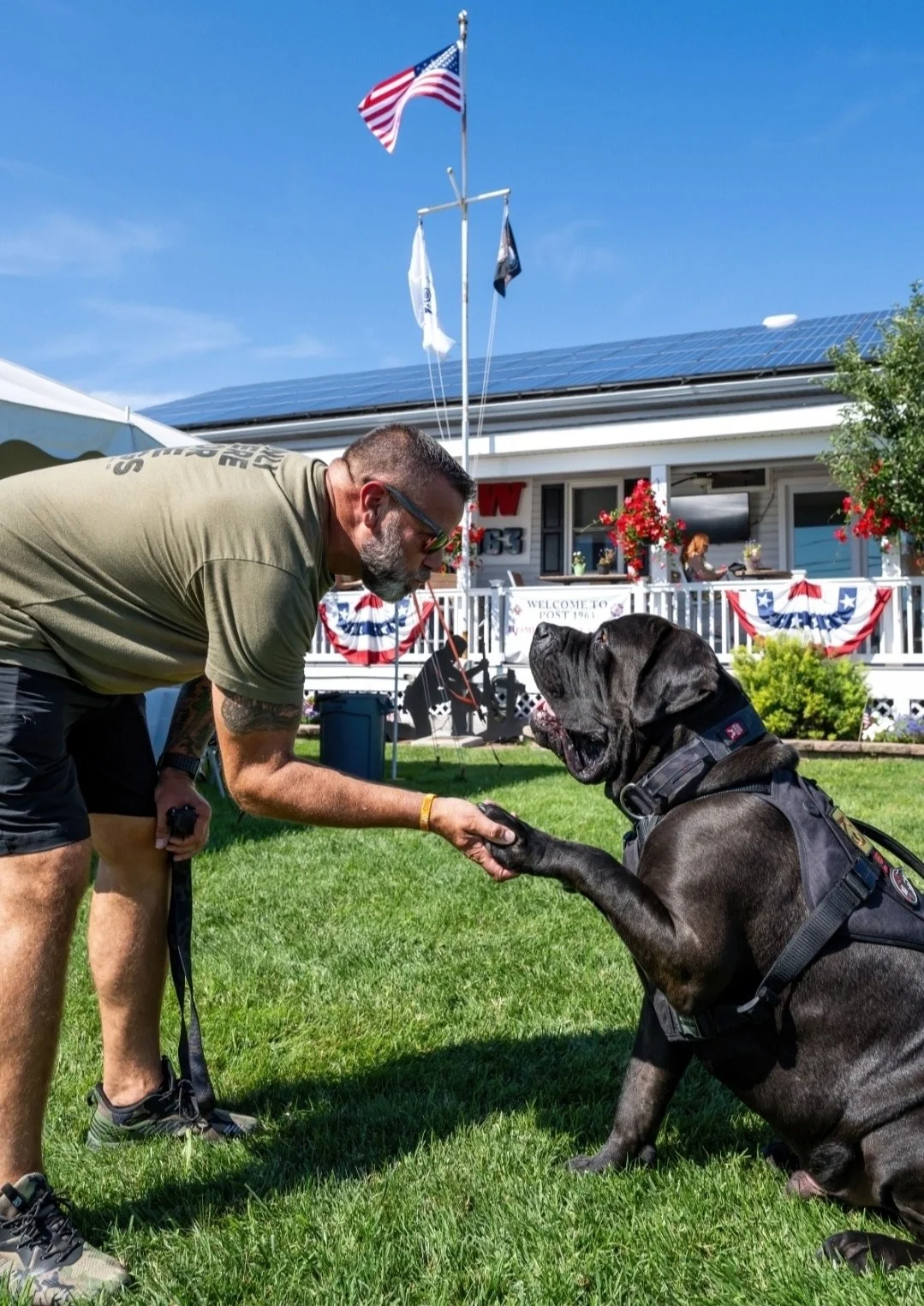 A man shaking hands with a large black dog, possibly a service or guard dog, in a grassy yard with a house decorated with patriotic banners and flags, and an American flag flying on a flagpole.