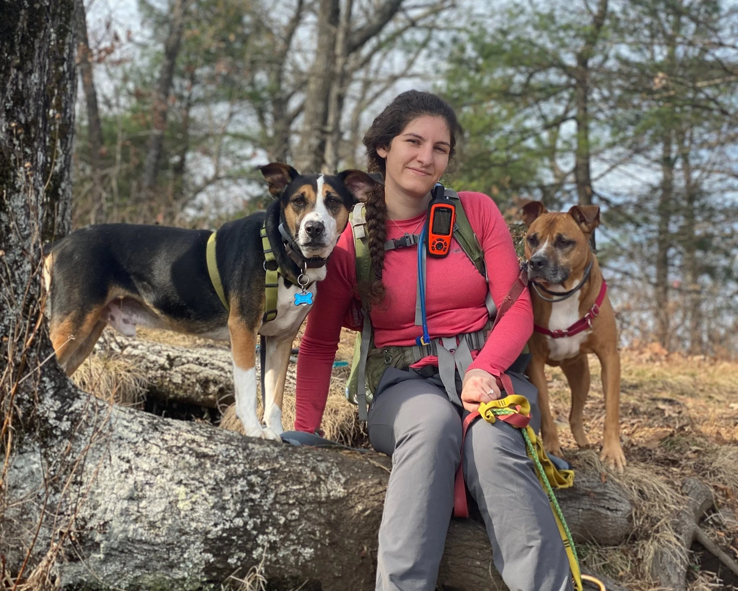 A woman sitting on a fallen log in the woods with two dogs, one on each side, during daylight.