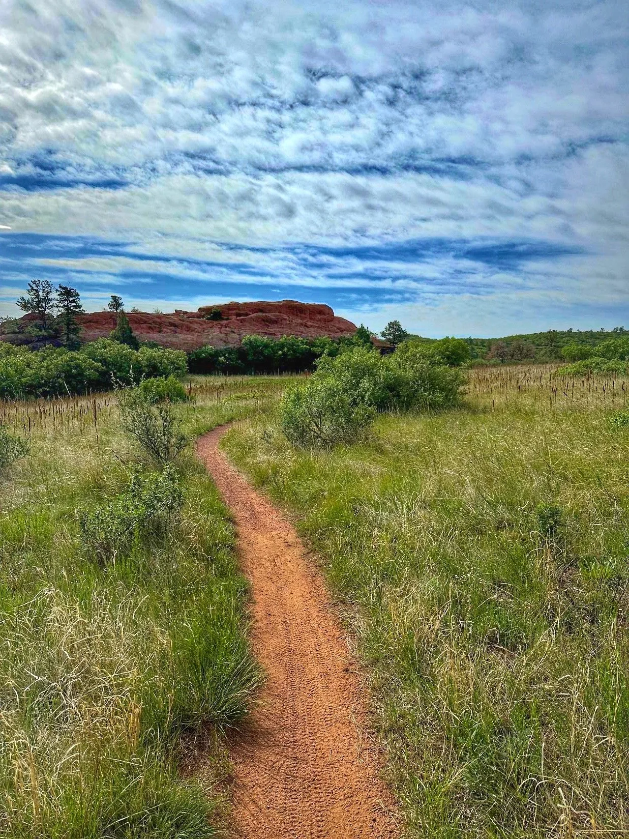 Hiking trails in Section 16 of Red Rock Canyon Open Space in Colorado Springs