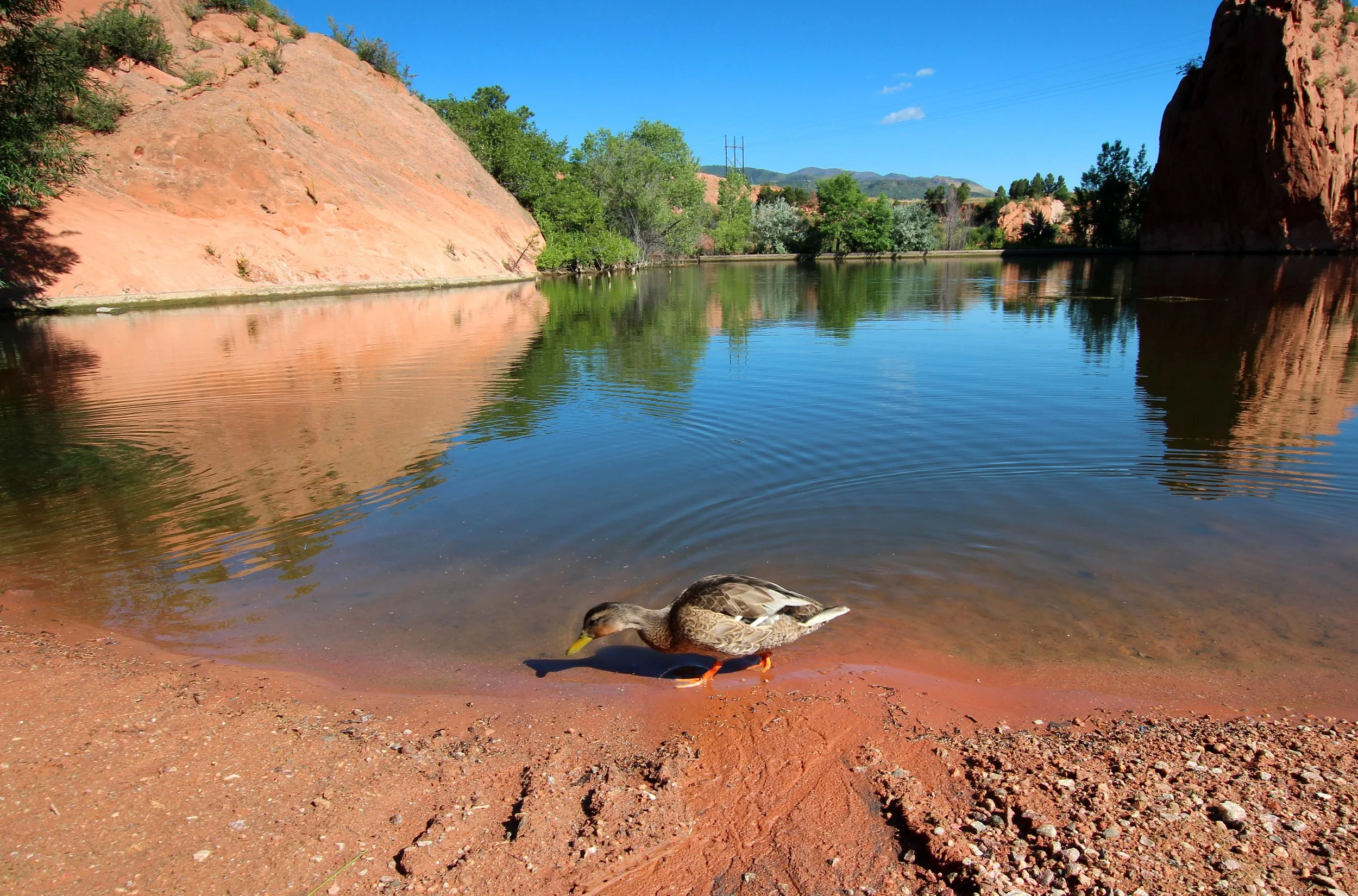 Scenic view of Red Rock Canyon Open Space in Colorado Springs