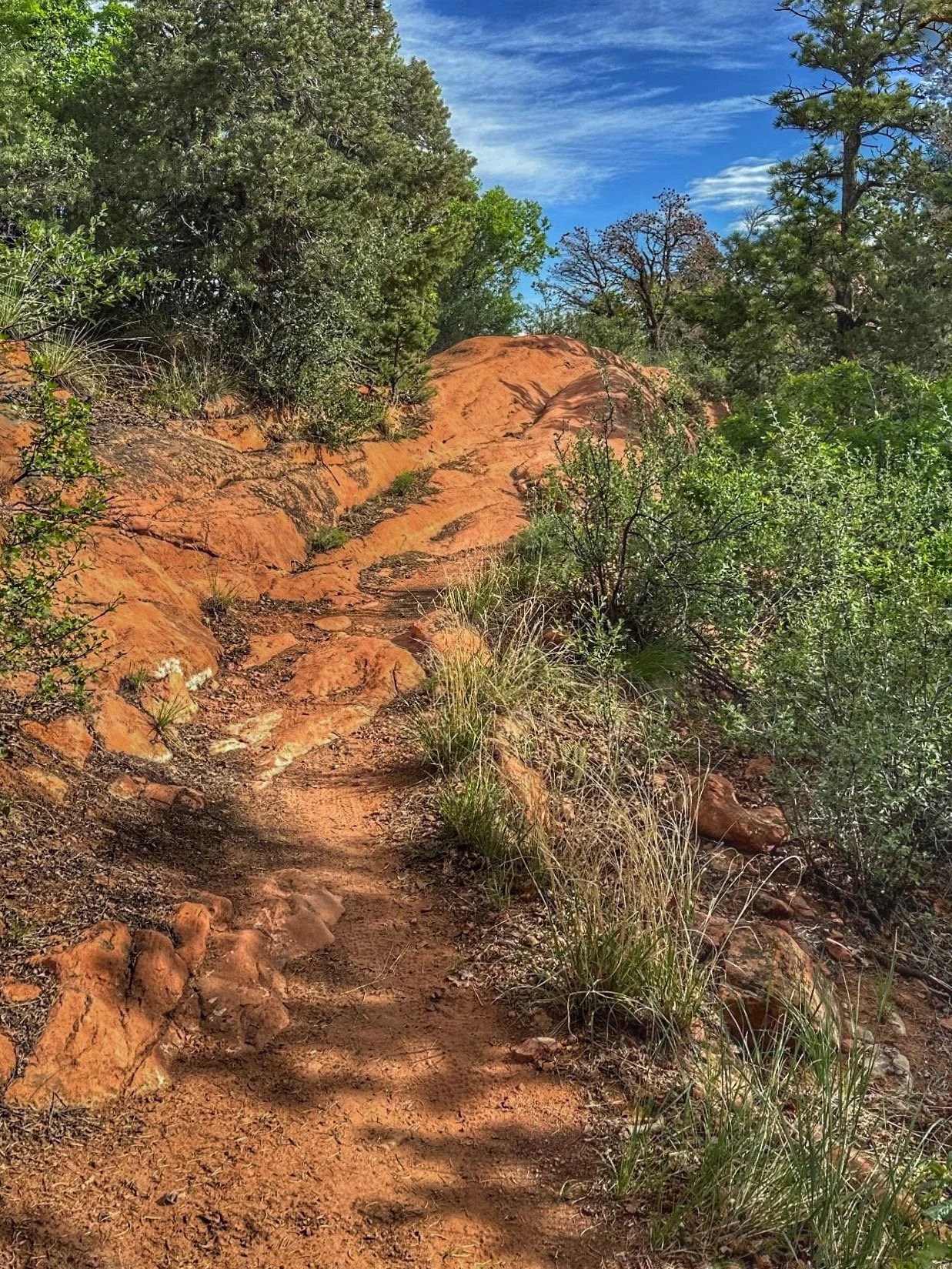 Hiking trails in Section 16 of Red Rock Canyon Open Space in Colorado Springs