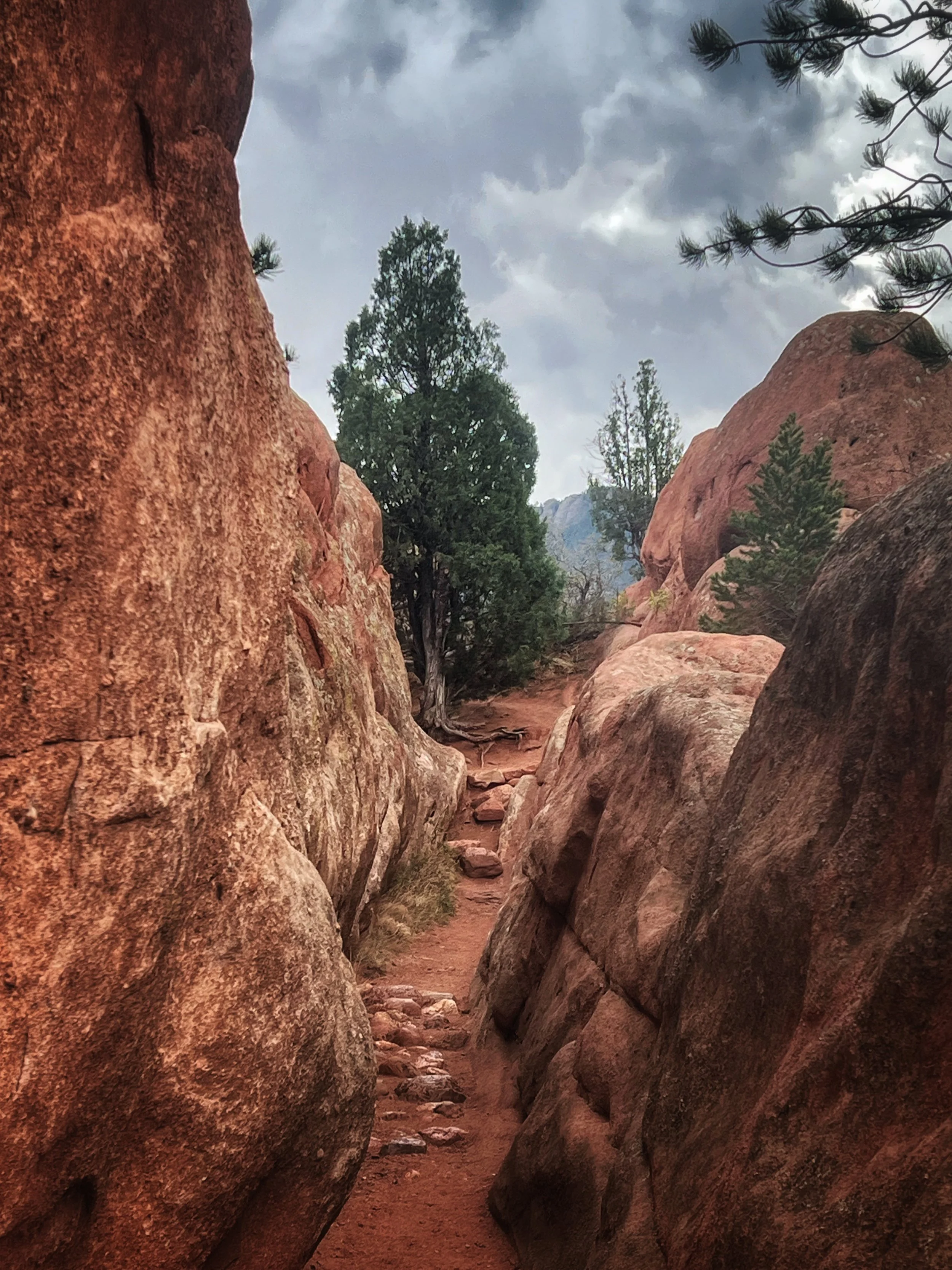 Sand Canyon Trail at Red Rock Canyon Open Space in Colorado Springs