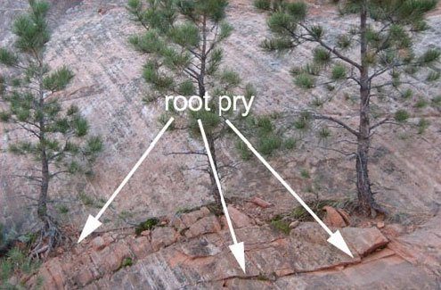 Rock weathering in Red Rock Canyon Open Space in Colorado Springs