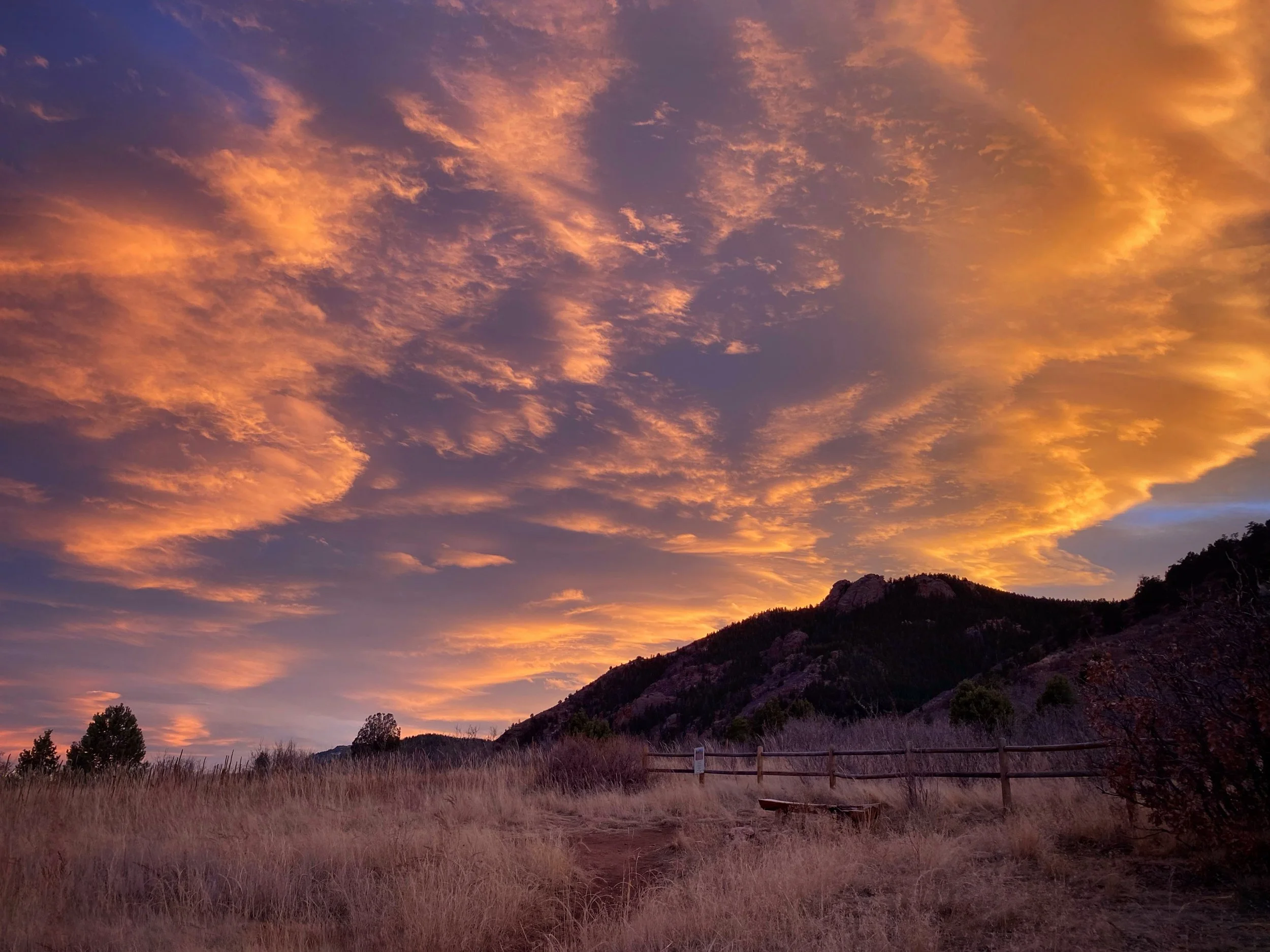 Scenic view of Red Rock Canyon Open Space in Colorado Springs
