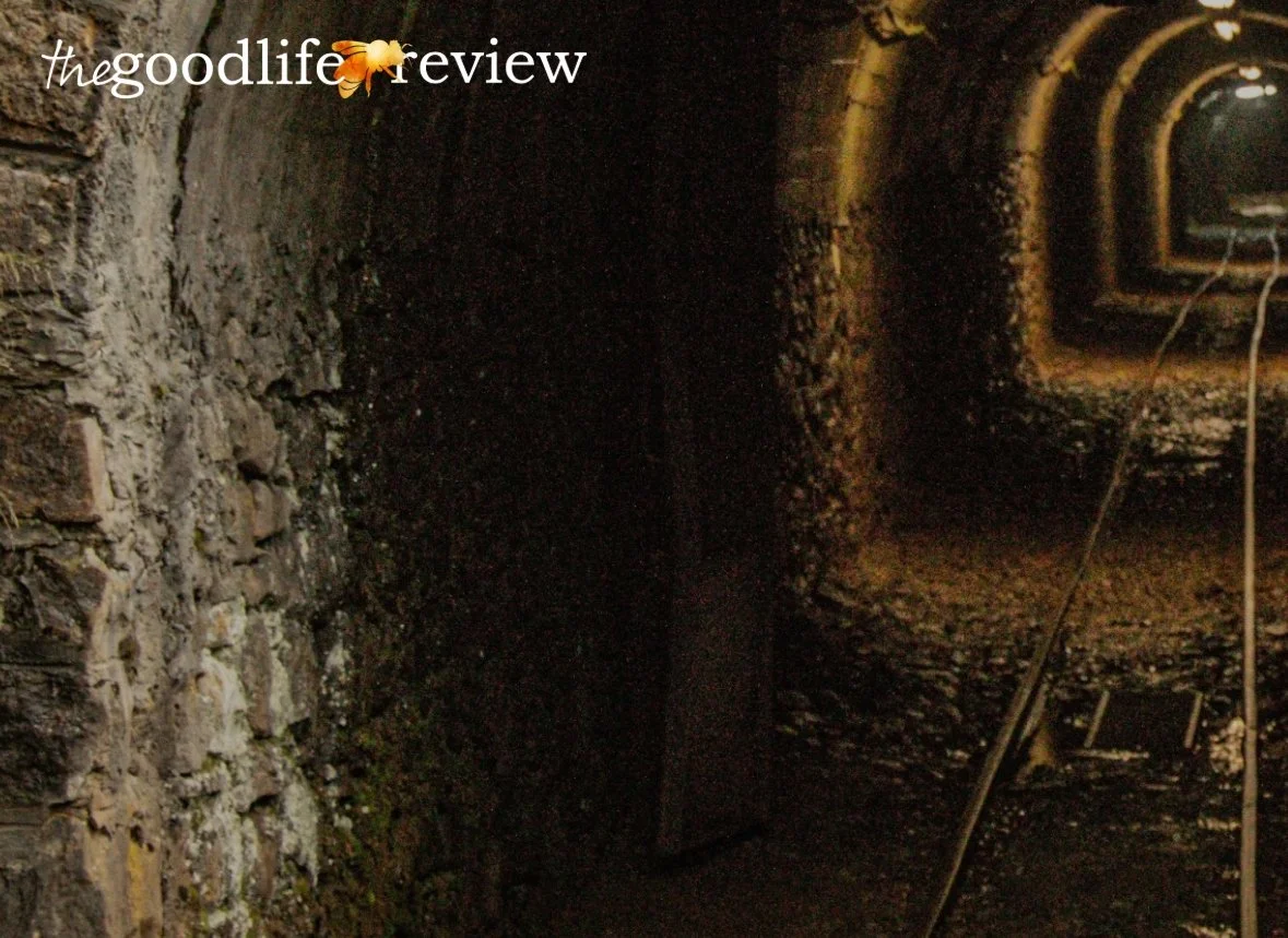Detroit Salt: Flash Fiction in The Good Life Review