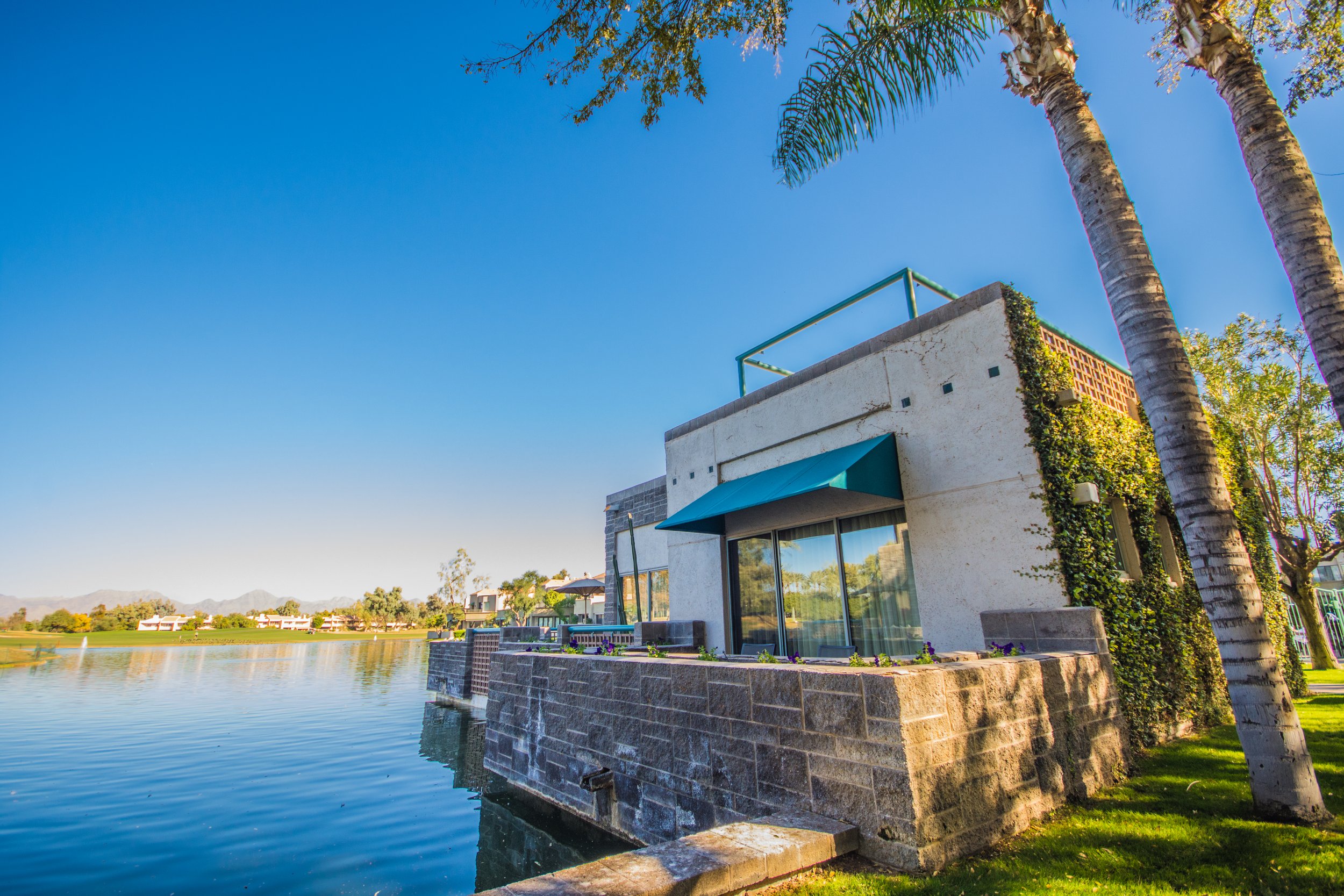 Modern lakeside house with large windows, stone walls, and ivy, surrounded by palm trees and grass, overlooking calm water and distant mountains under a clear blue sky.