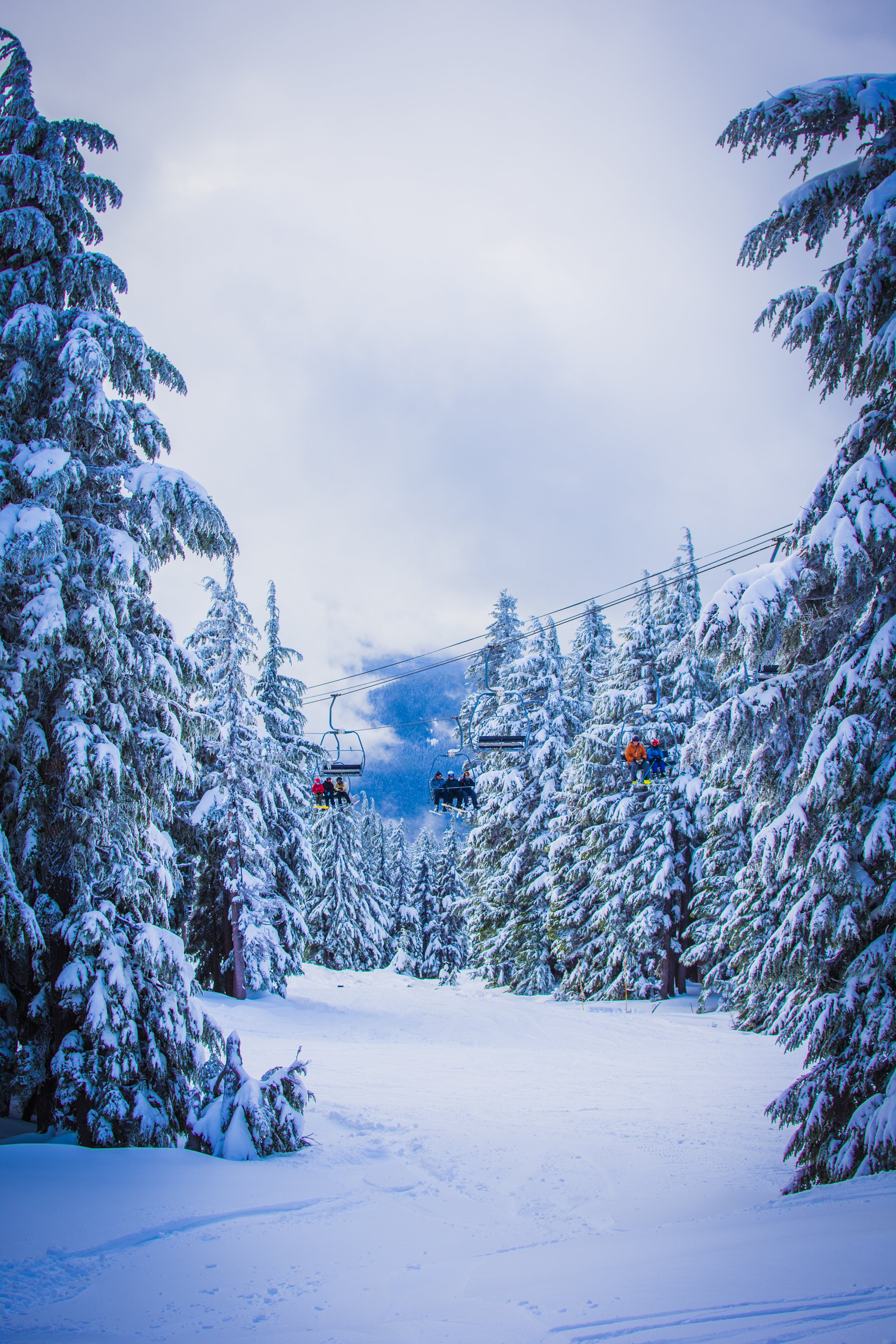 Snowy landscape with a ski lift and snow-covered trees.