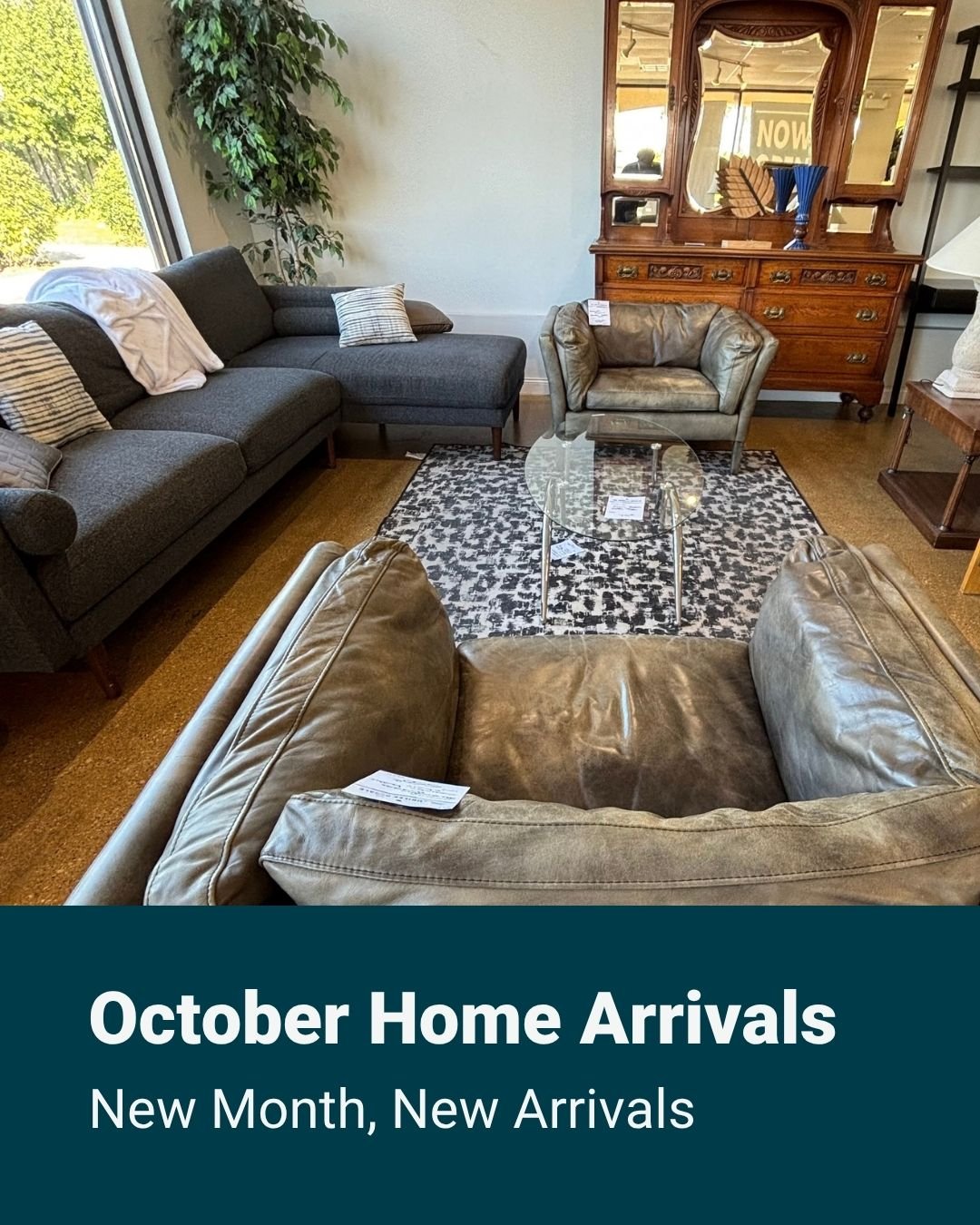New month, new arrivals. 🍂

October is here and so is a fresh batch of furniture across the showroom. Living room sets, accent chairs, dining tables, bedroom pieces, and a few surprises that just came off the truck.

Our 23,000 sq ft showroom turns 