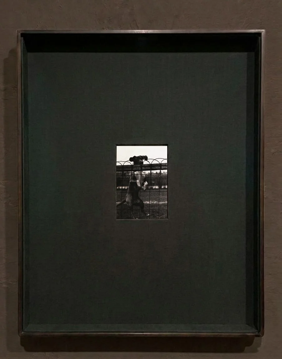 AVisitor_Framed_Papadakis.JPG