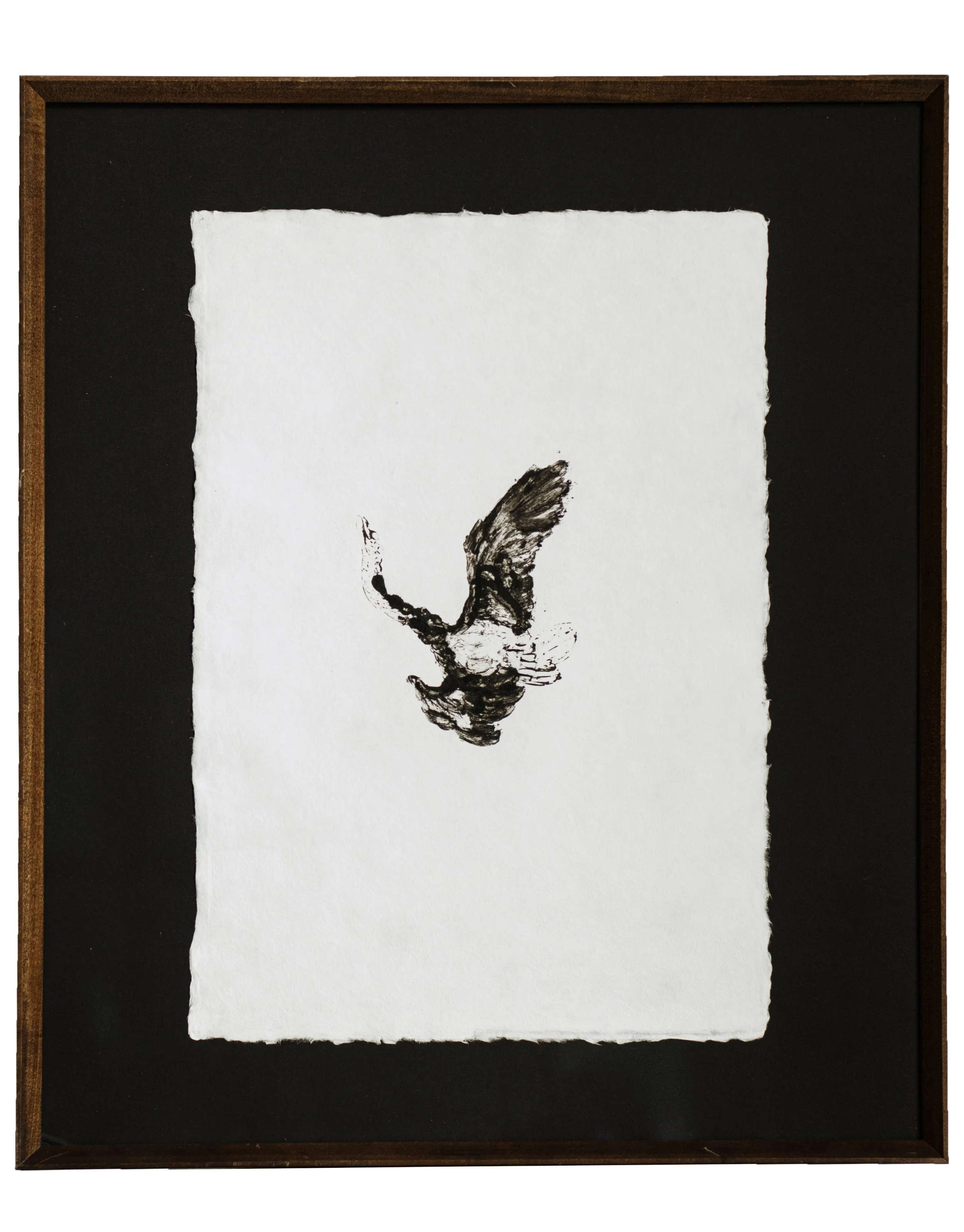 Descent Study by Charlotte Anderson