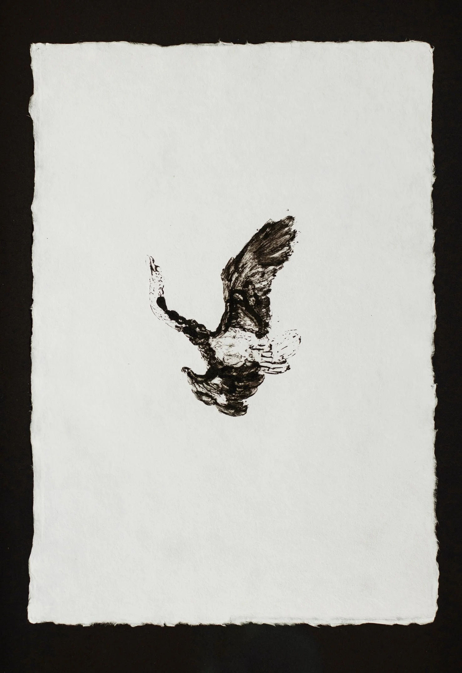 DescentStudy Charlotte Anderson Papadakis StefaniaPapadakis Swan Decent Print Japan Japanese Paper Washi Home Wood Falling FallingBird