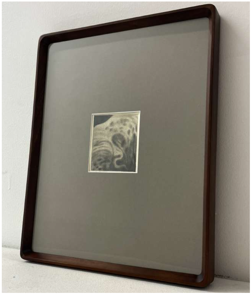 Screen Shot 2026-02-06 at 12.24.19.png