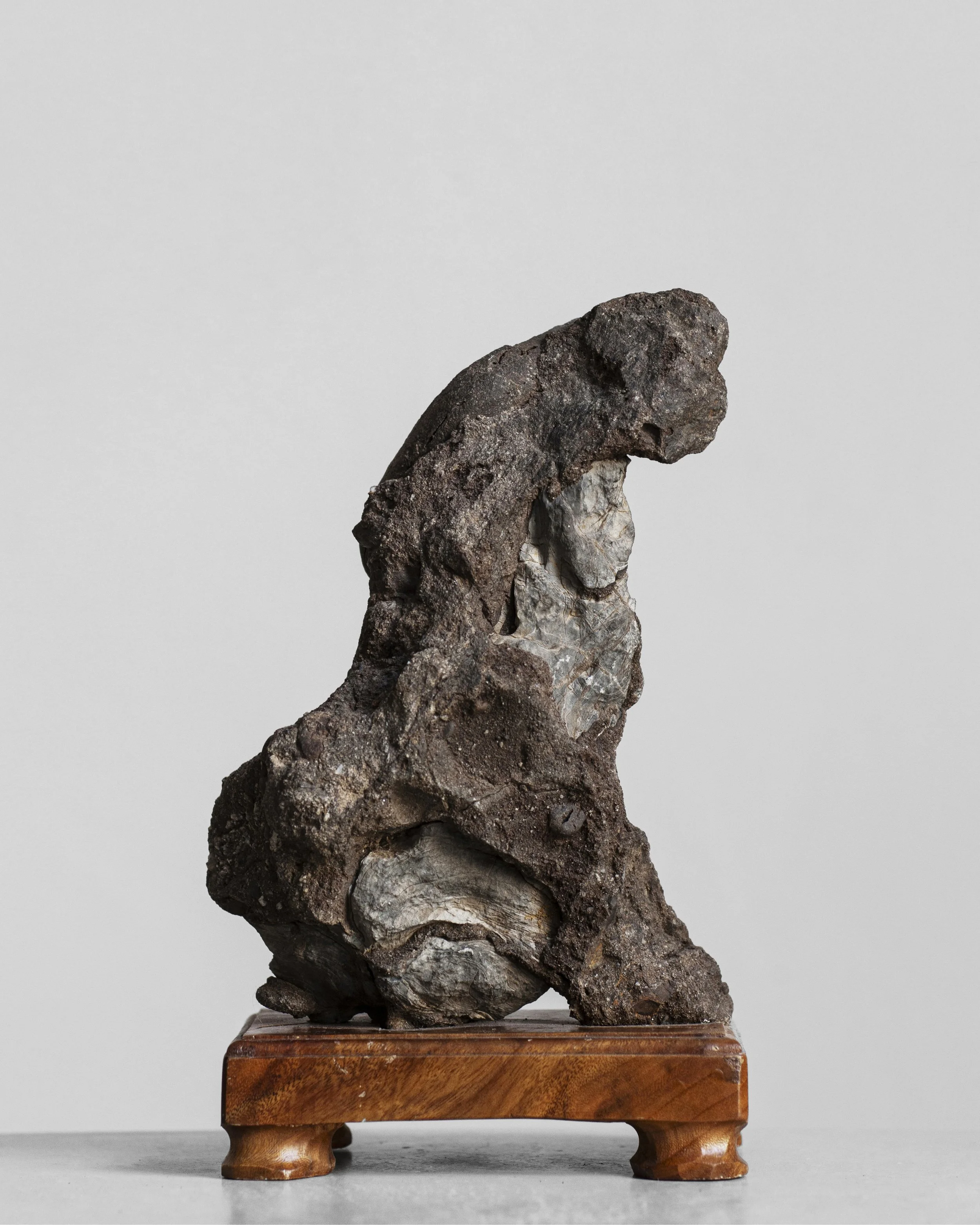 Suiseki (水石) "Viewing Stone" in  Dog Form