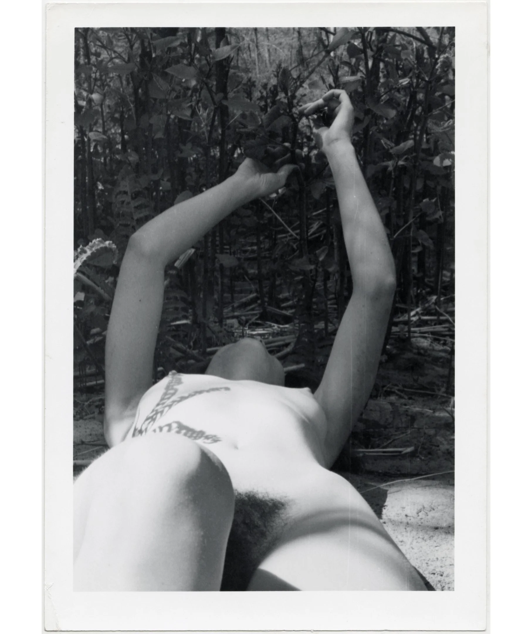 Nude Shadow StefaniaPapadakis Papadakis Woman Beach nudist photoshoot photography art artwork fineart nature landscape