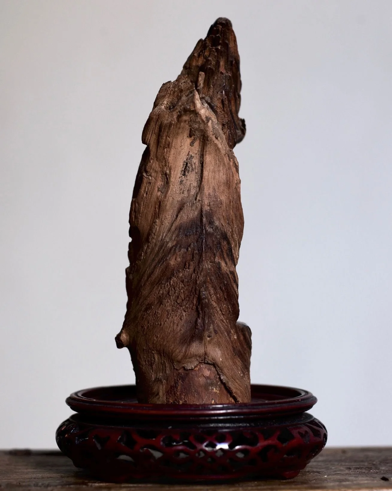 PHOTO-2026-01-12-11-44-58 5.jpg