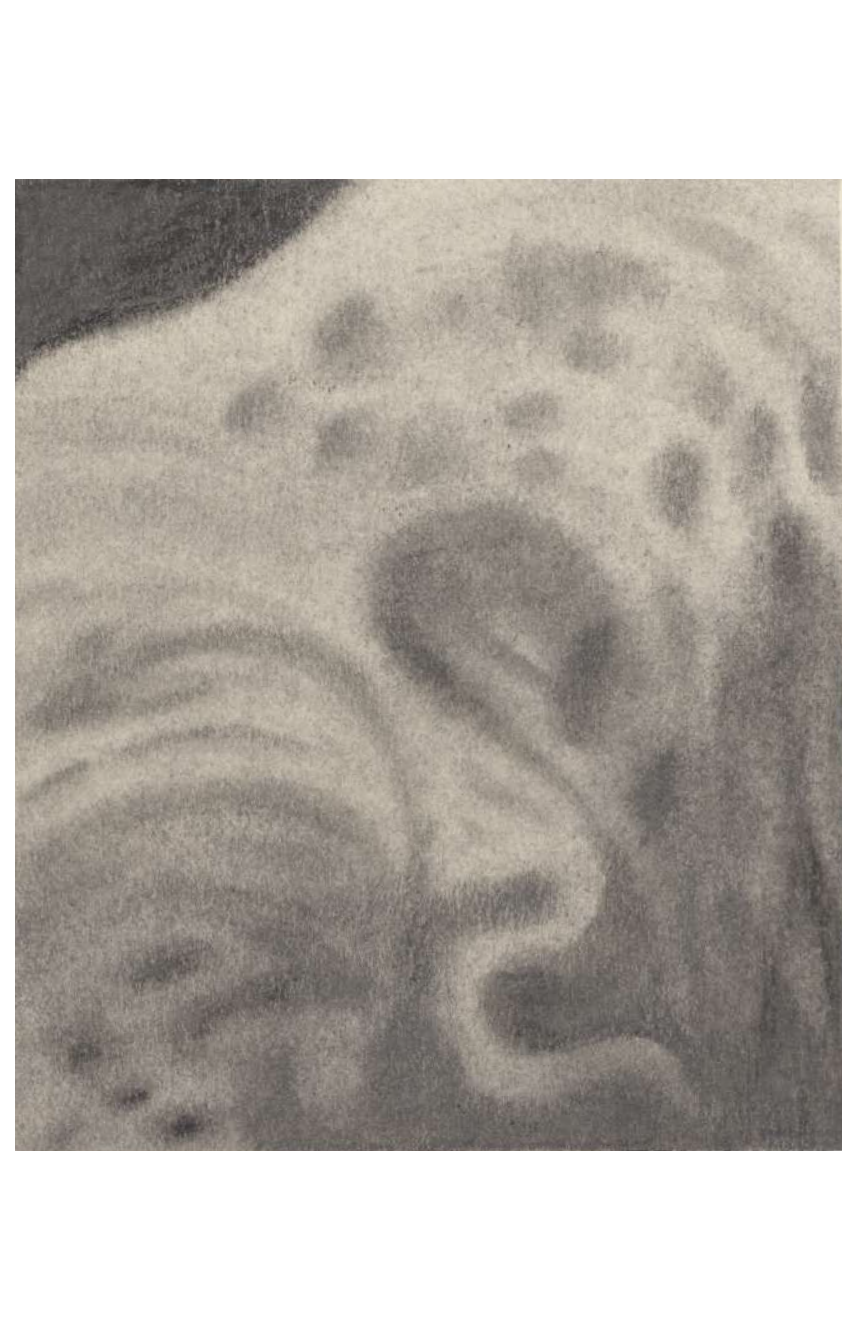 Untitled by Charotte Anderson