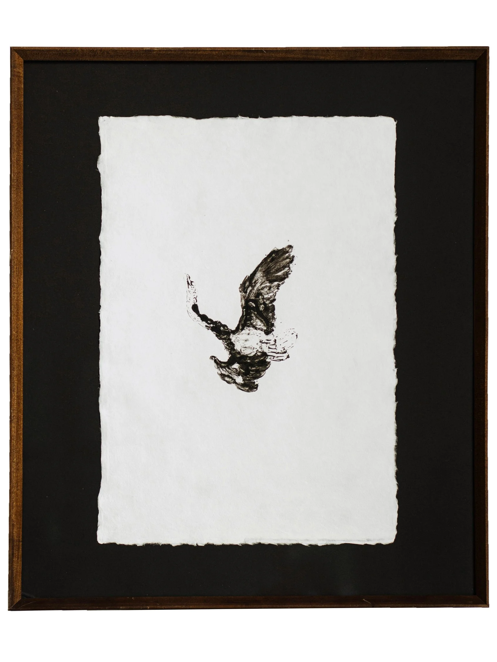 DescentStudy Charlotte Anderson Papadakis StefaniaPapadakis Swan Decent Print Japan Japanese Paper Washi Home Wood Falling FallingBird