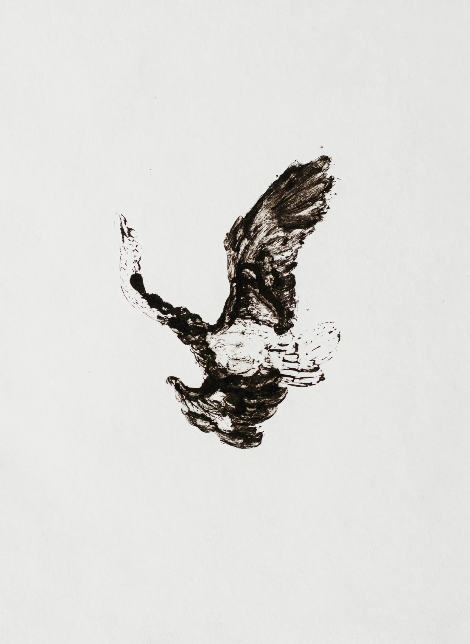 DescentStudy Charlotte Anderson Papadakis StefaniaPapadakis Swan Decent Print Japan Japanese Paper Washi Home Wood Falling FallingBird
