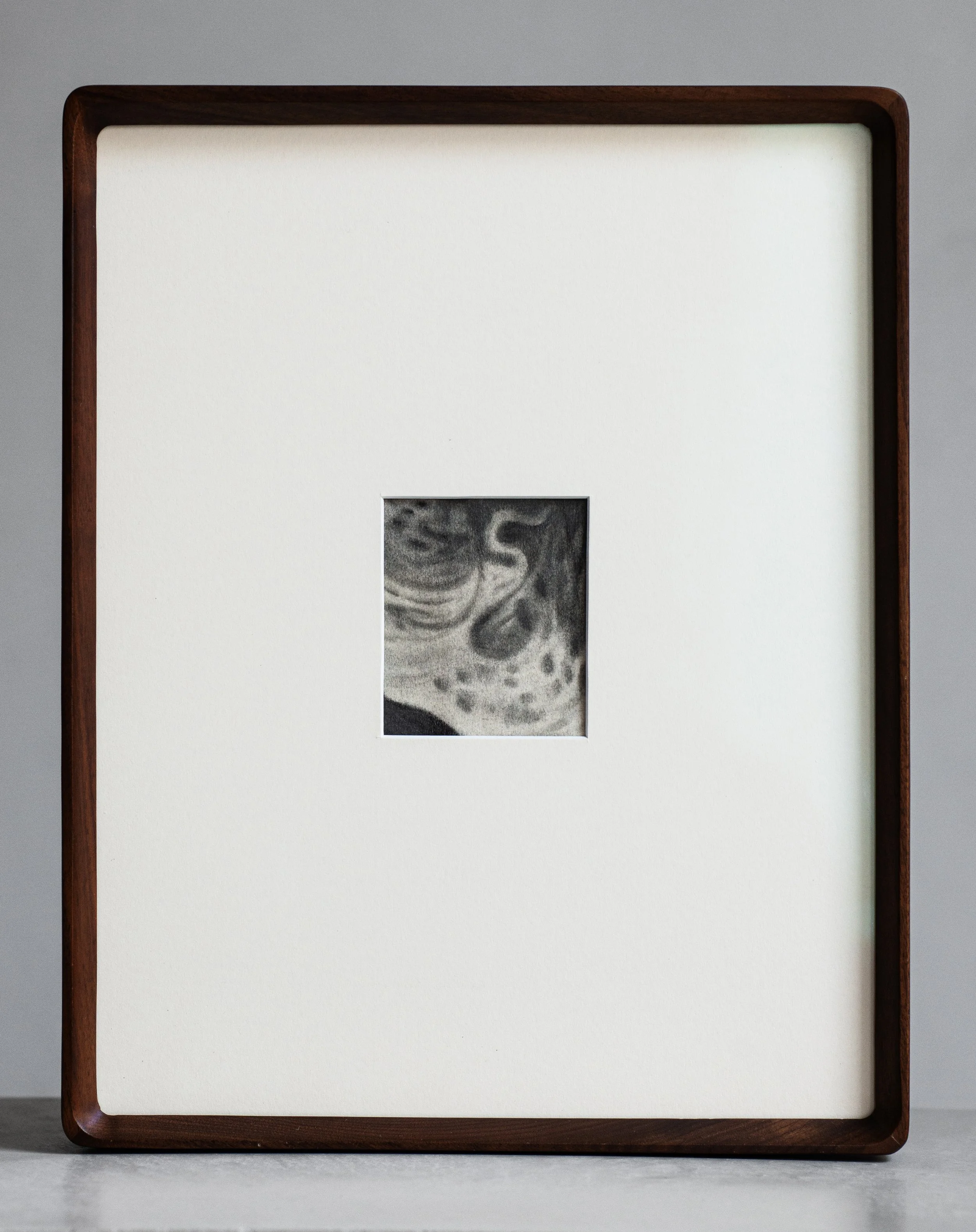 Ossuary II by Charlotte Anderson