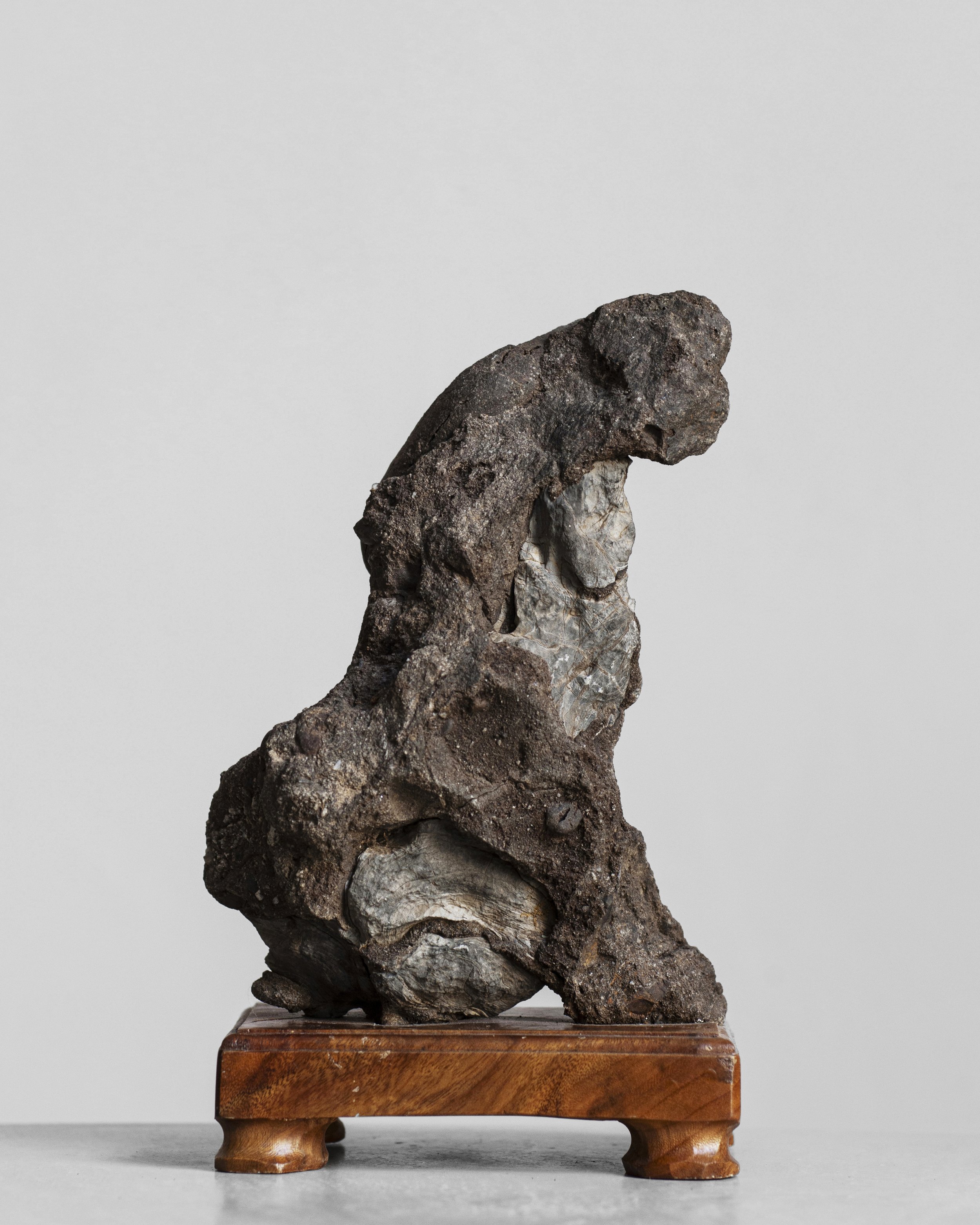 Suiseki (水石) "Viewing Stone" in  Dog Form