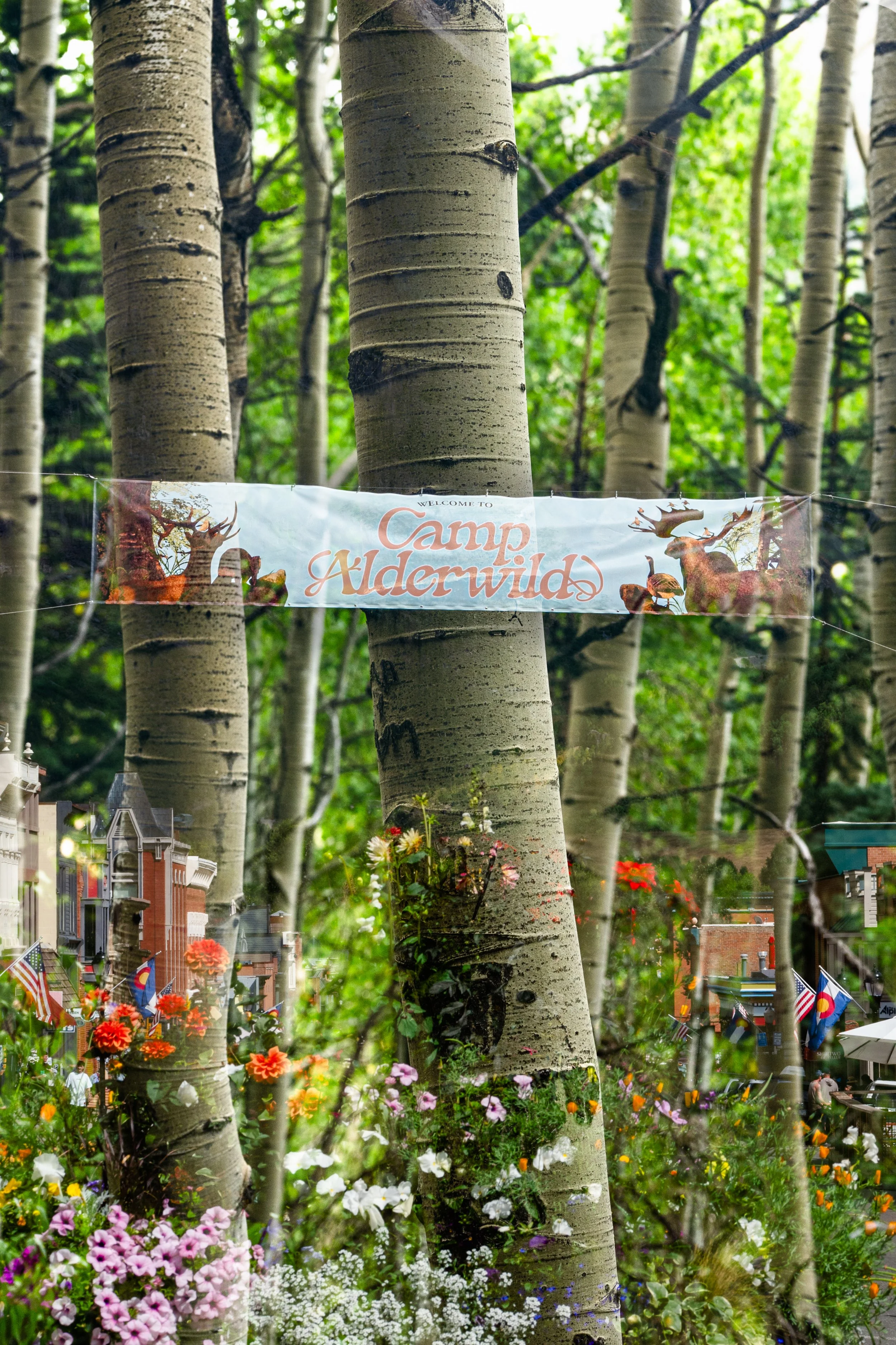 OfTheTreesTelluride2025-1.jpg