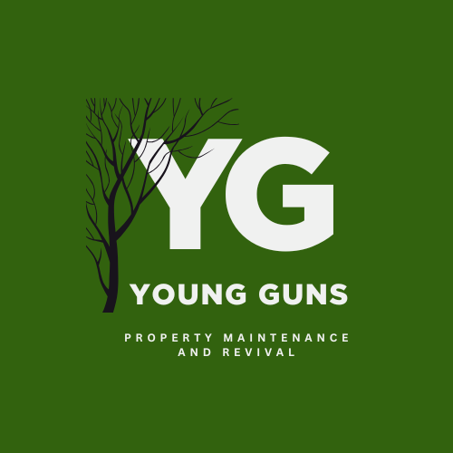 Young Guns Property Maintenance and Revival