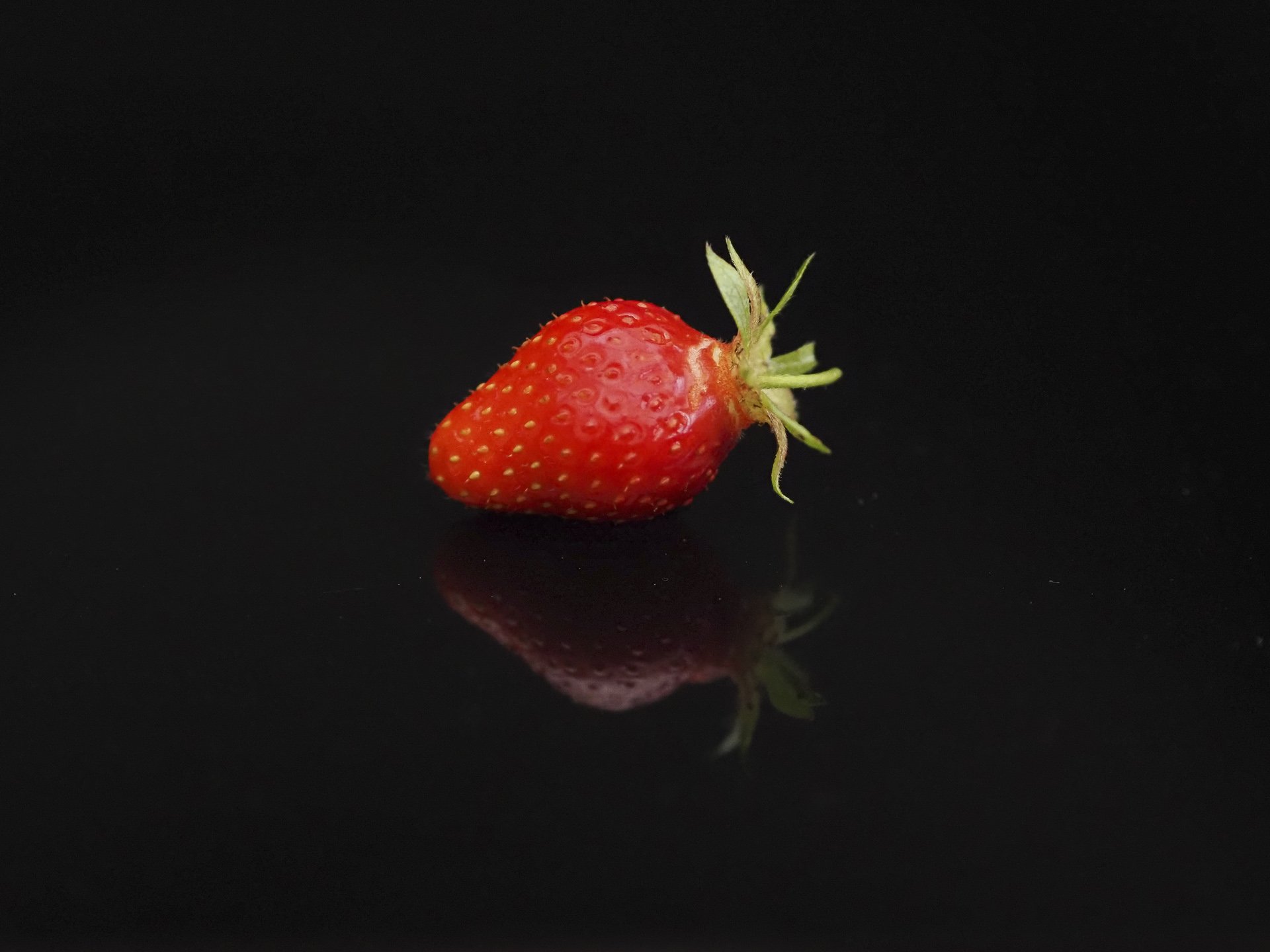 -20230518Fraises_20235.jpg