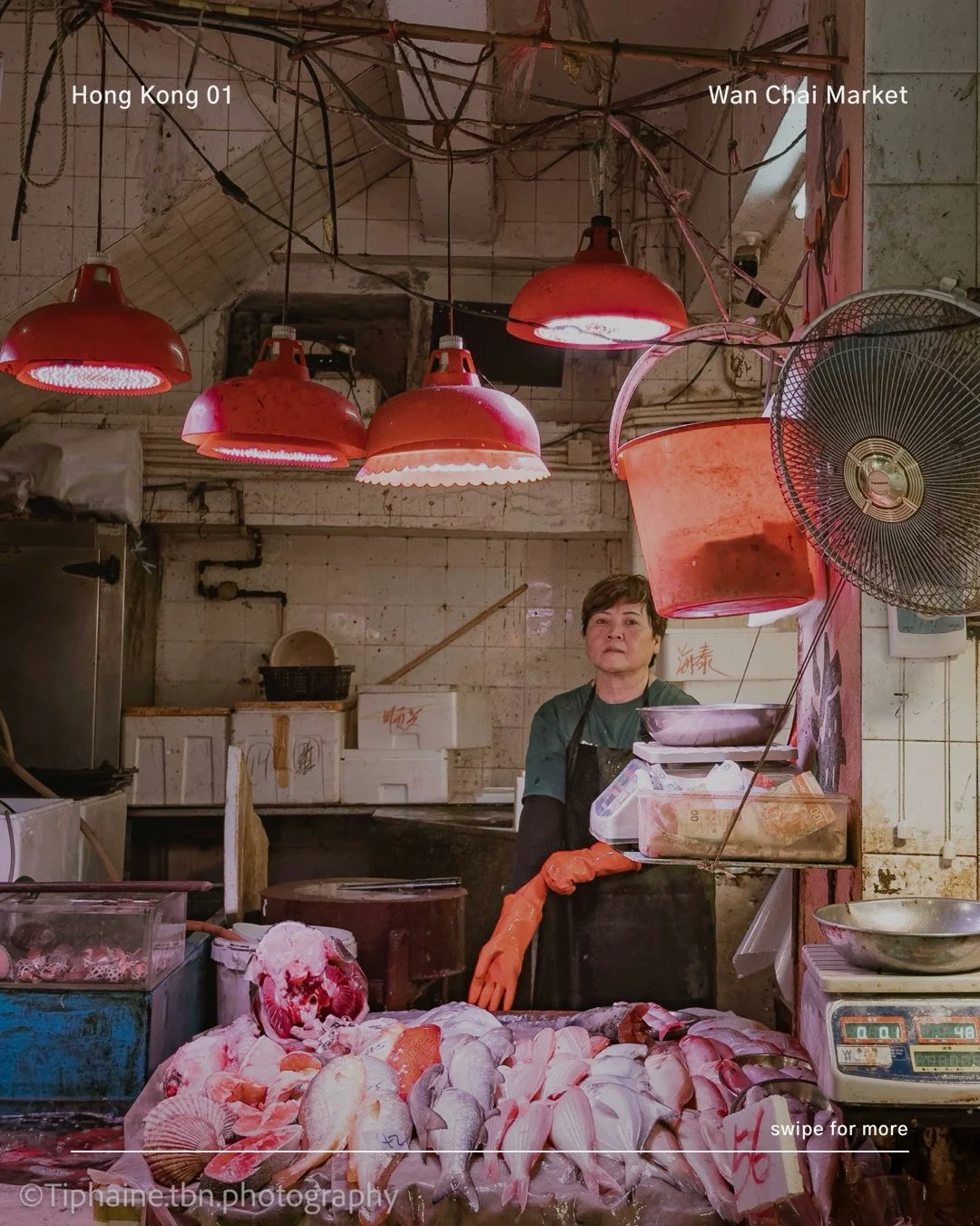 Wan Chai Market: In Search of the Human and the Poetic in the Chaos