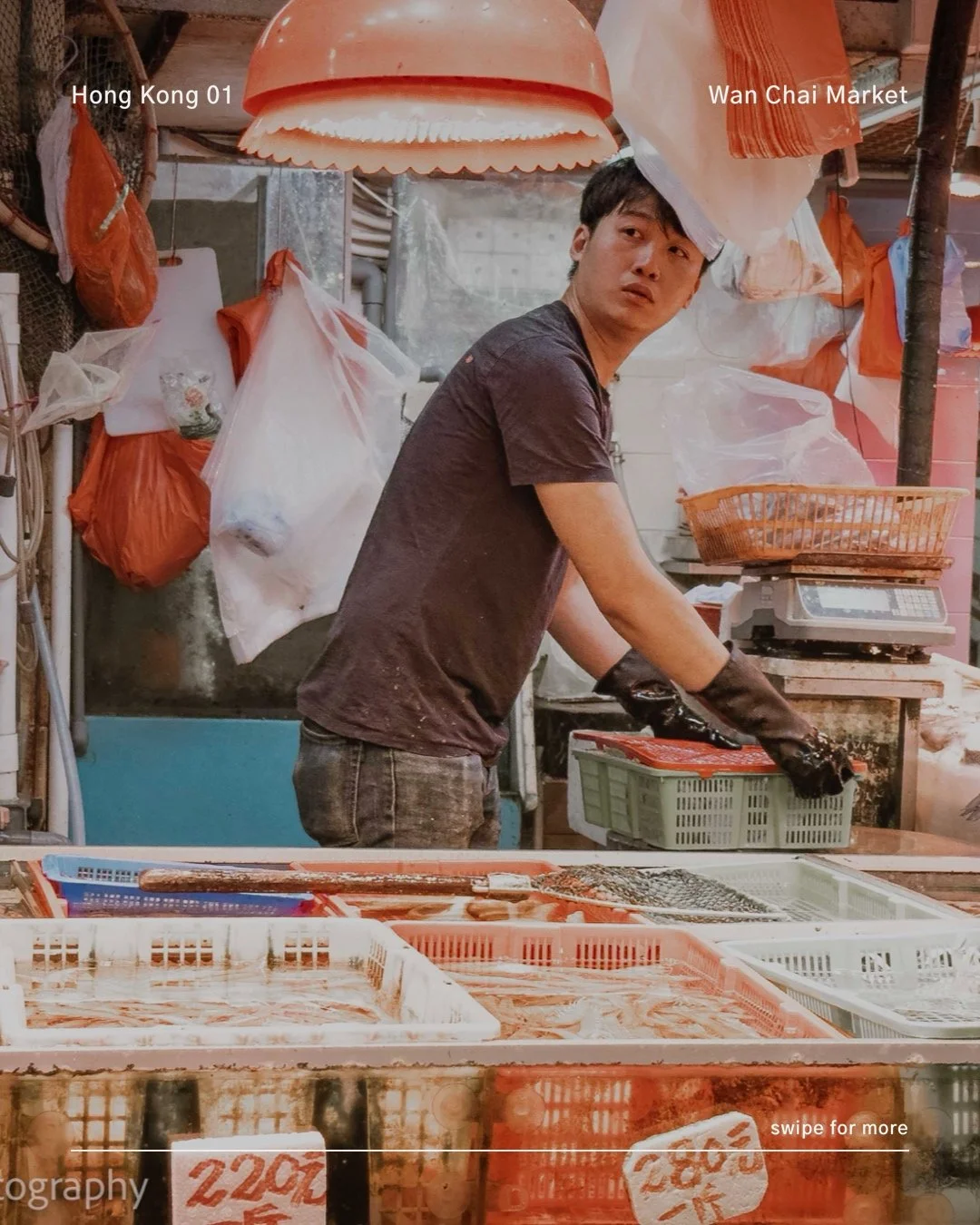 Wan Chai Market: In Search of the Human and the Poetic in the Chaos