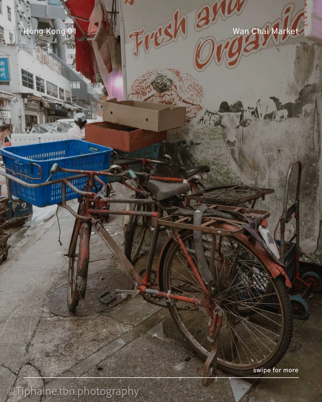 Wan Chai Market: In Search of the Human and the Poetic in the Chaos