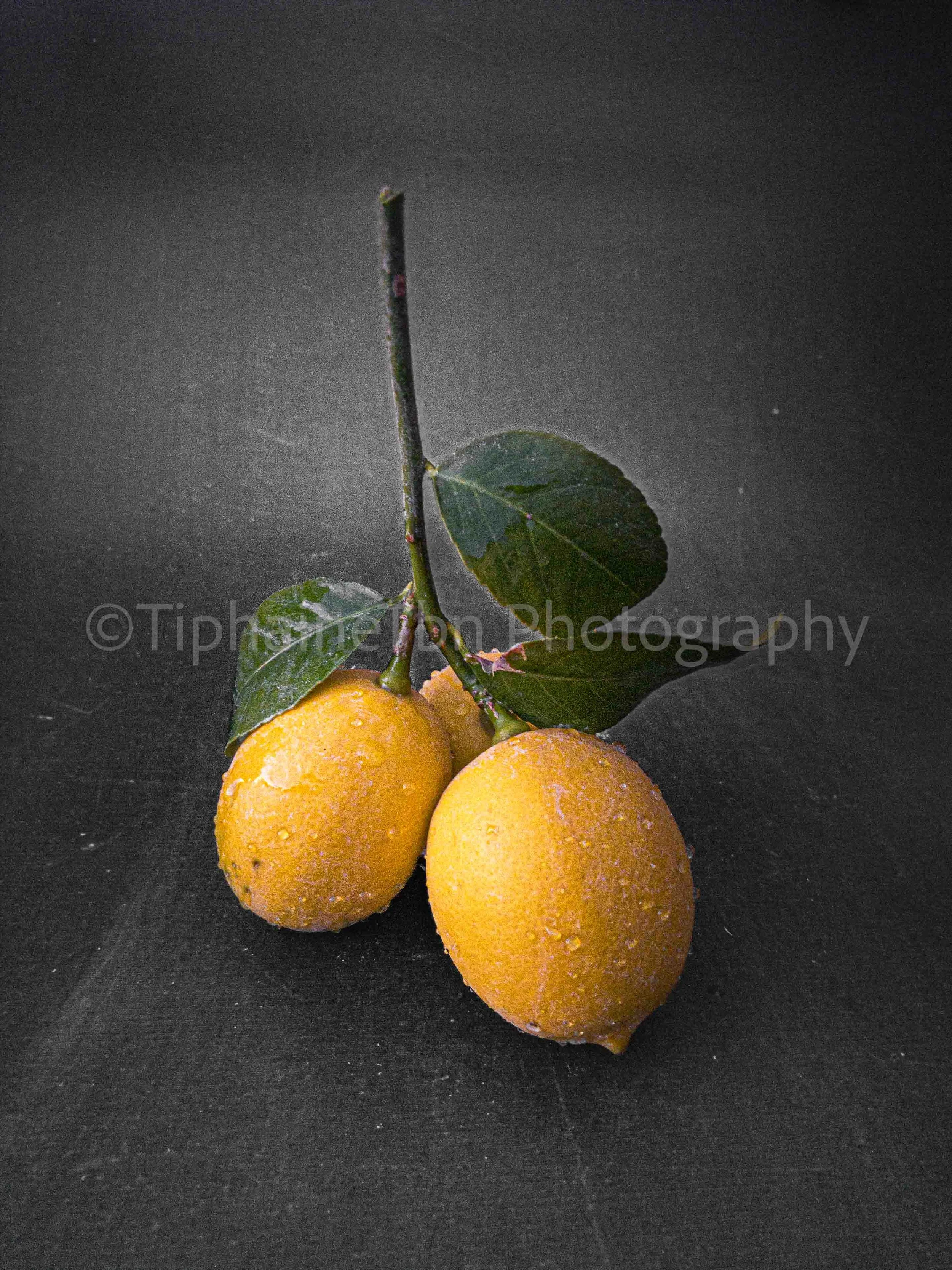 2020_Lemons from my garden_Grazing the Feelings Series.jpg