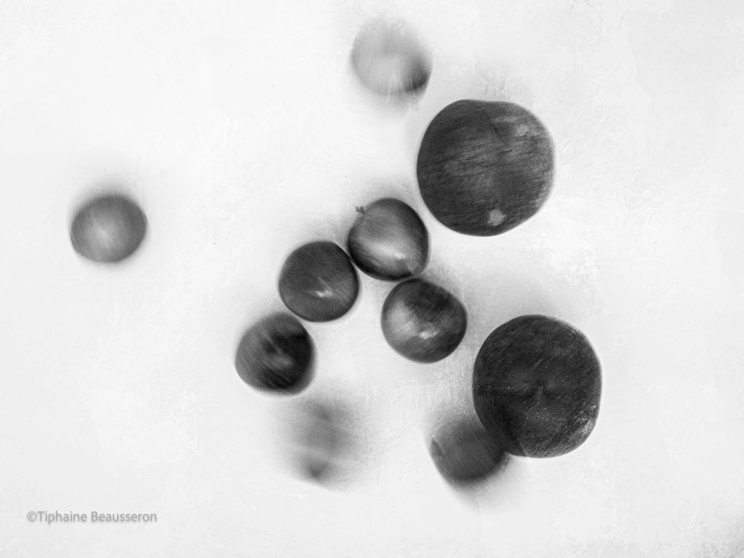 Dancing Plums - Serie 'Ancrer la Lueur' - 2025 - ©Tiphaine Beausseron