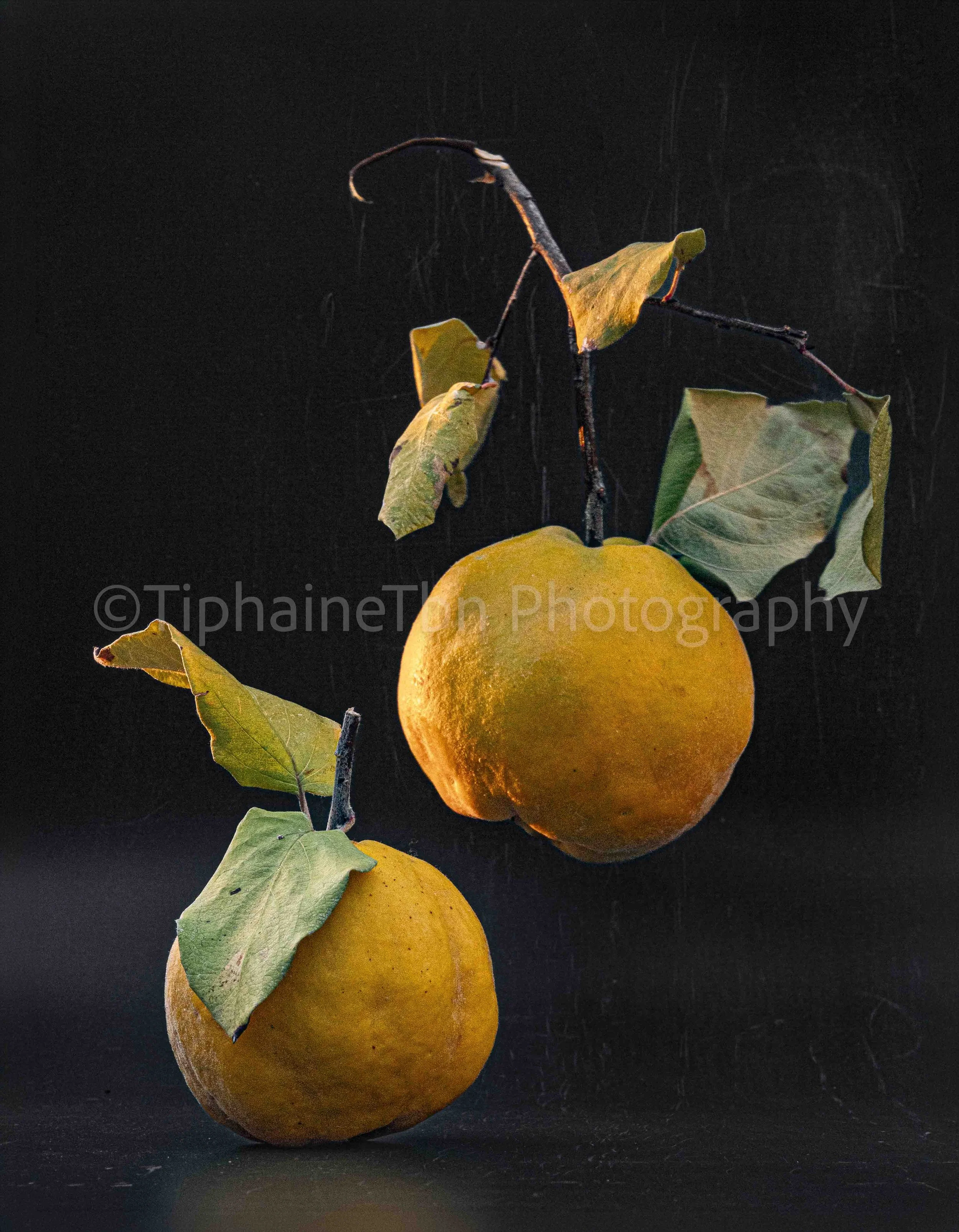 2023_La danse des coings 1_Grazing the Feelings Series.jpg