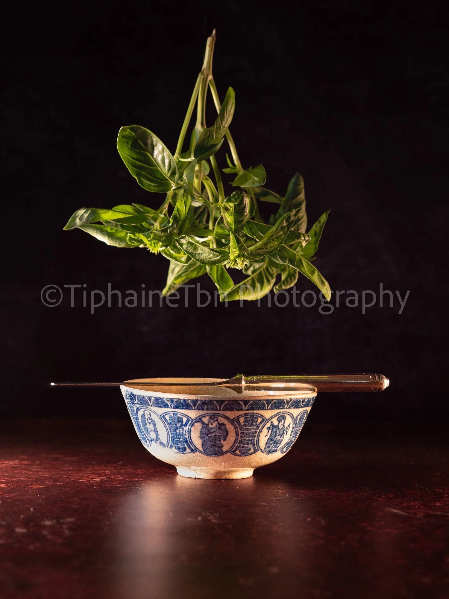 Basil from Garden & Chinese Bowl – Suspension series, still life photography by Tiphaine Beausseron
