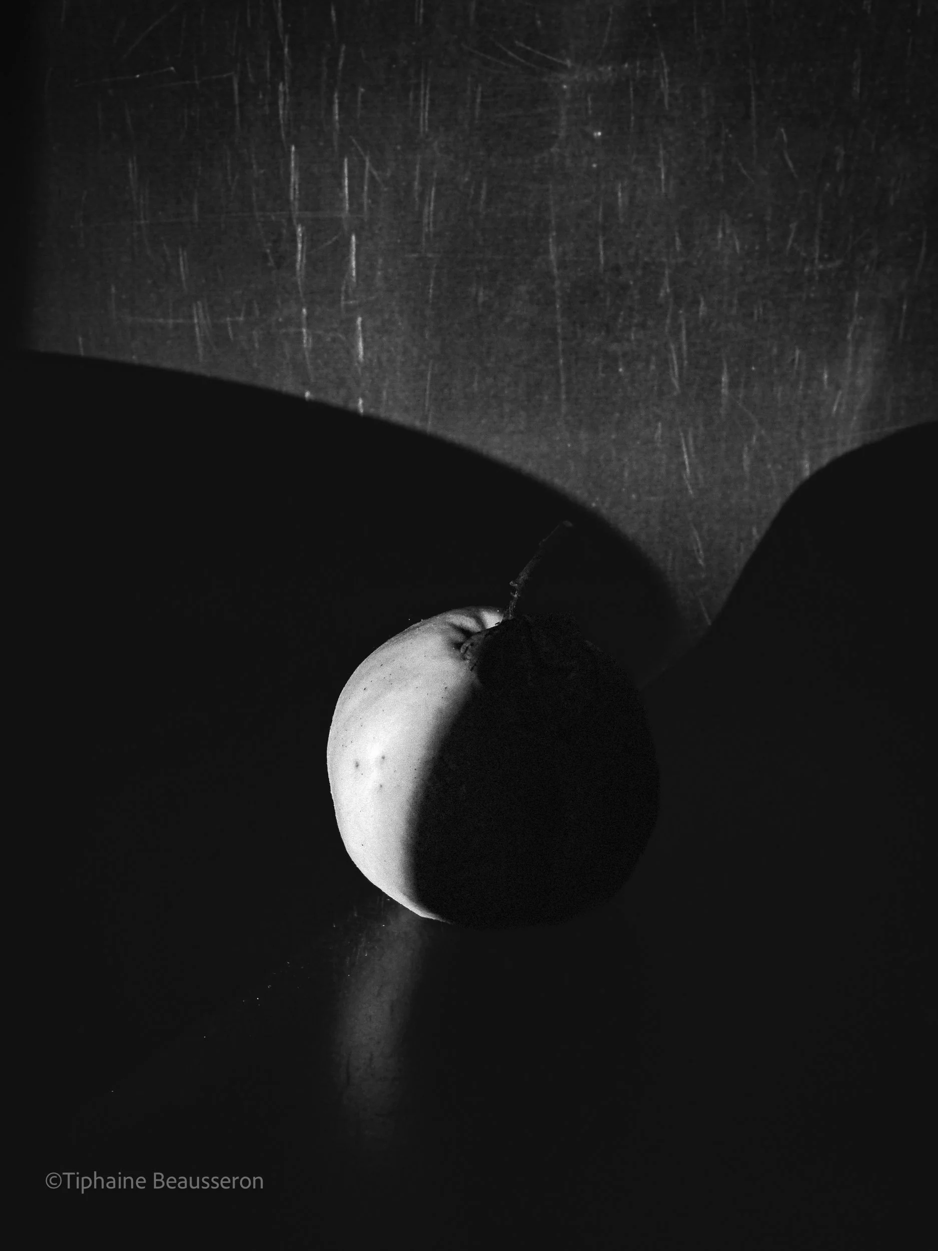 Coing en Clair-Obscur - 2023 - Série 'Ancrer la Lueur' ©Tiphaine Beausseron
