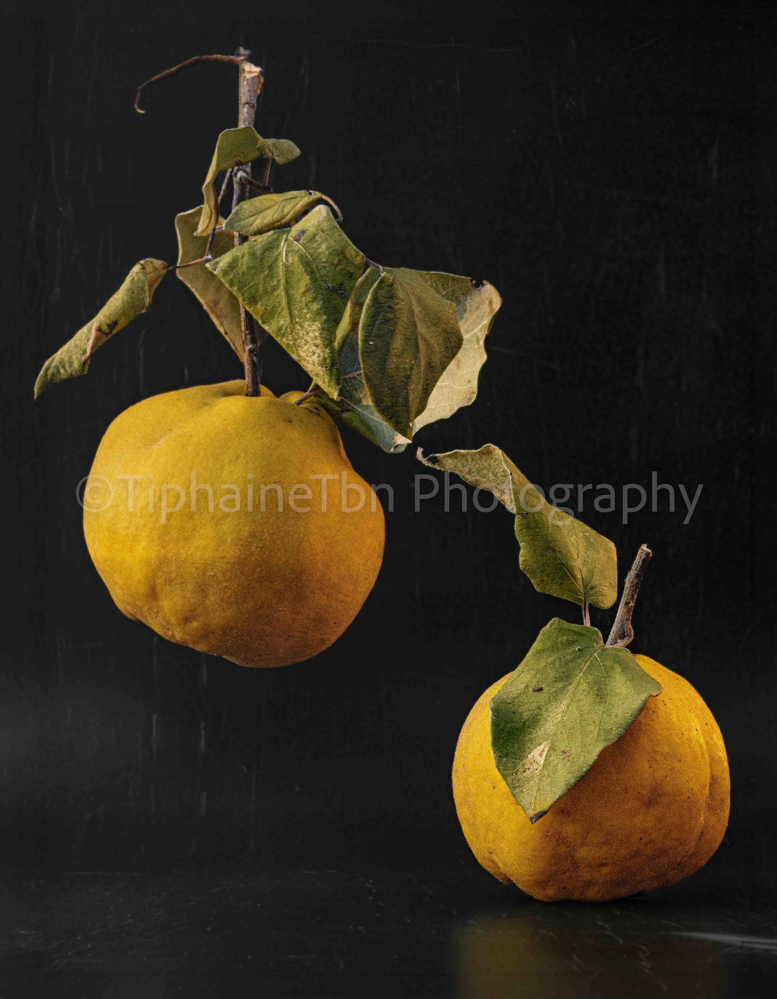 2023_La danse des coings 2_Grazing the Feelings Series.jpg