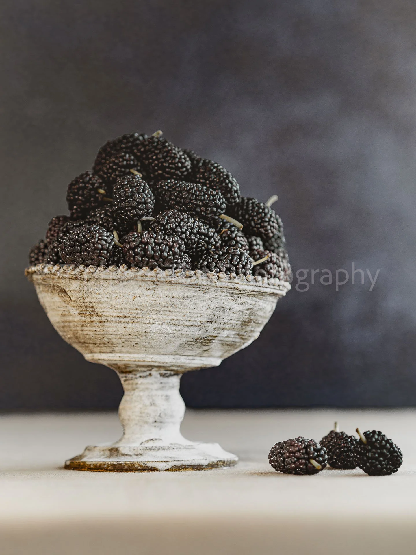Blackberries & Hong Kong Ceramic - Cherishing the Earth Series - ©TiphaineBeausseron