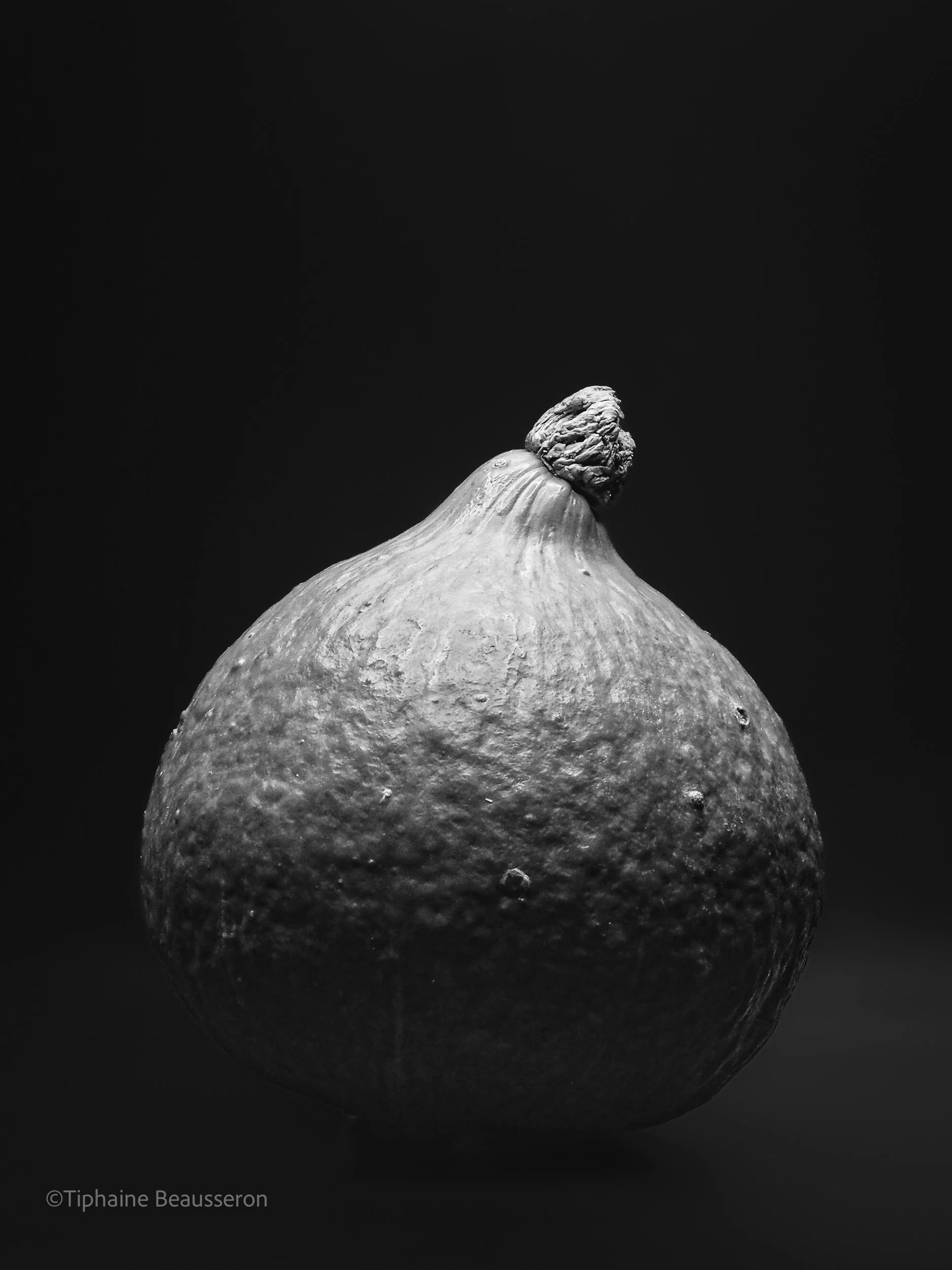 Red Kuri Squash in Black & White - 2020 - Série Anchoring the Glow © Tiphaine Beausseron