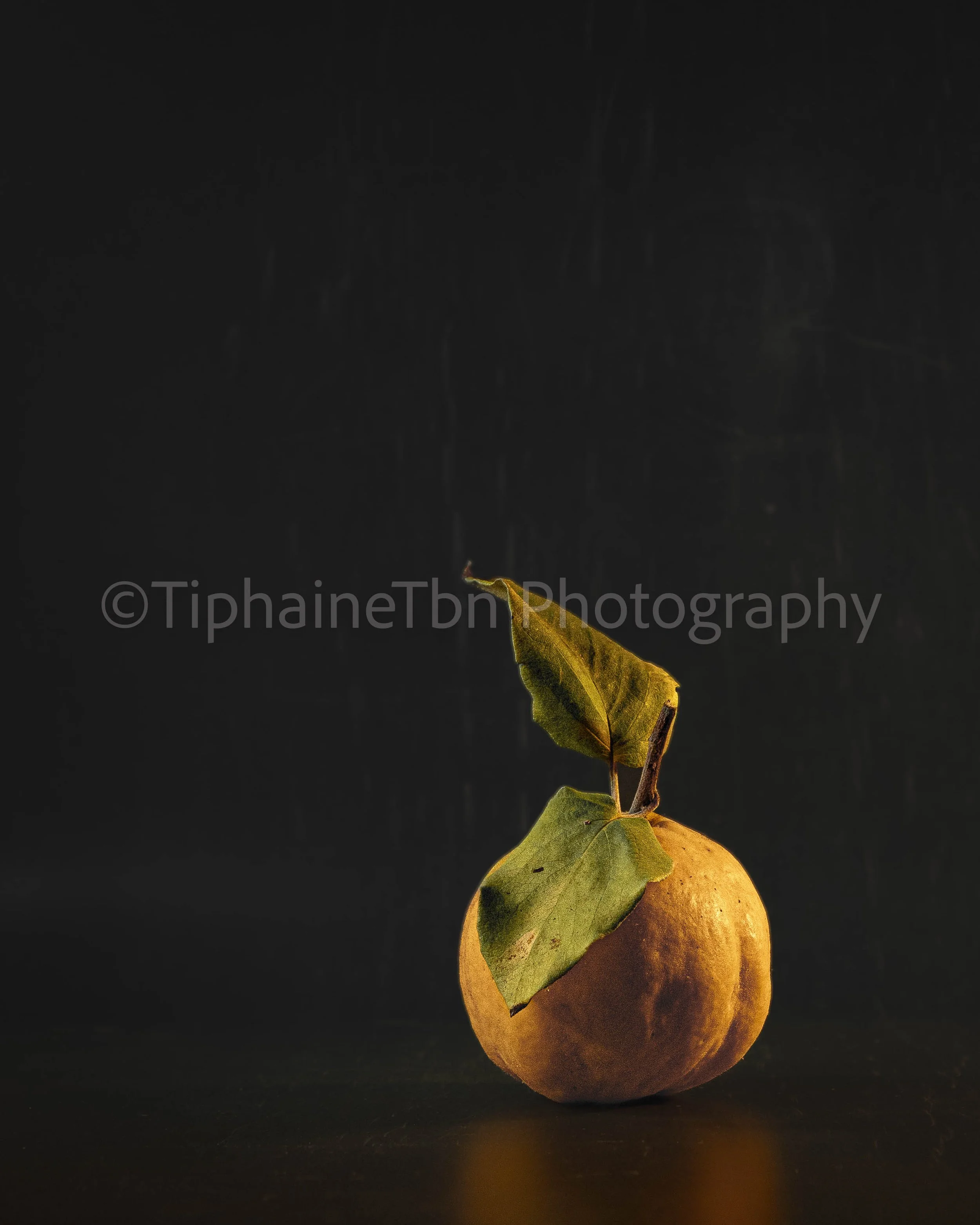 2023_Quince & Provence Light_Grazing the Feelings Series.jpg