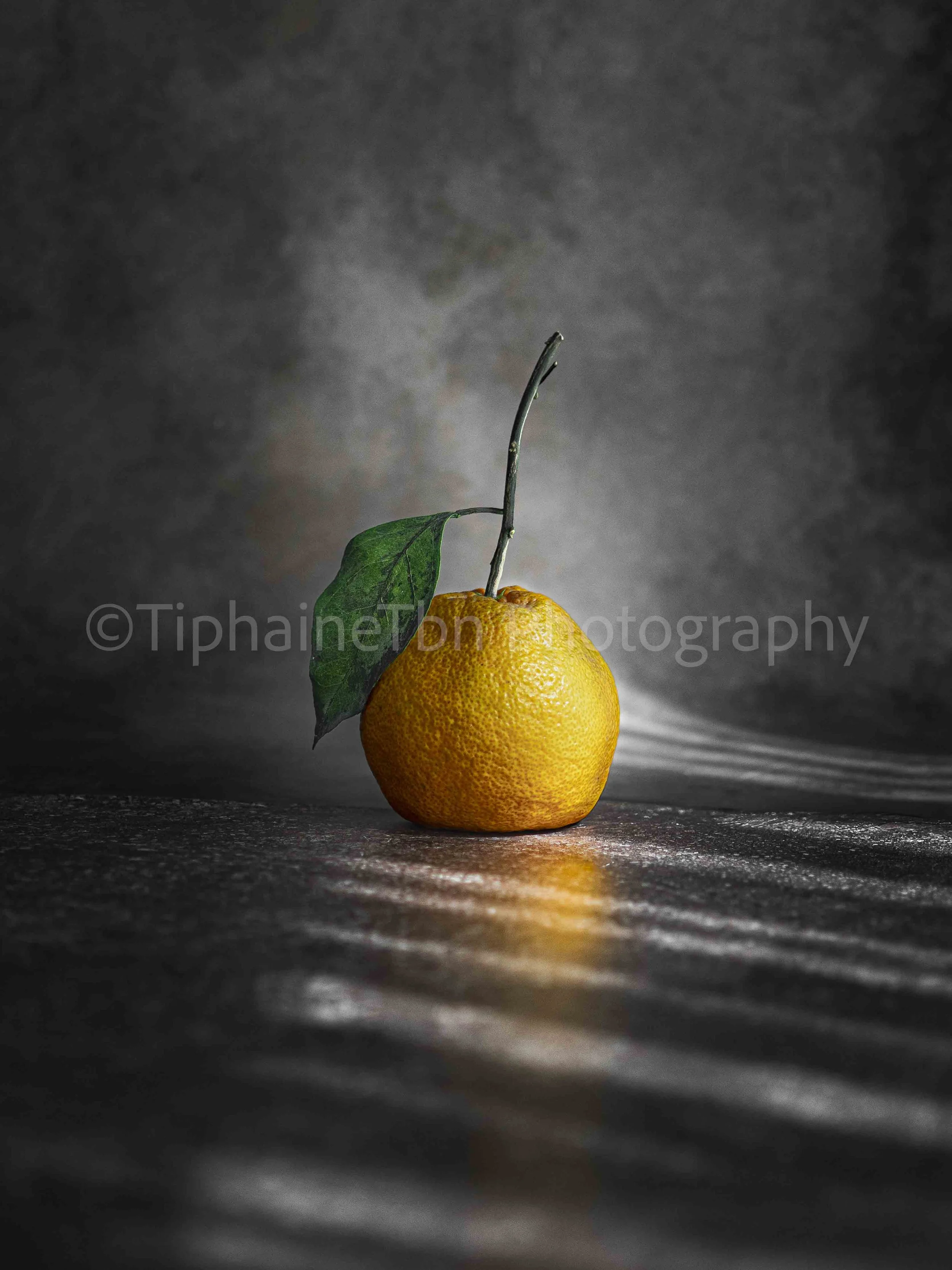 2025_Orange & HK Light_Grazing the Feelings Series.jpg