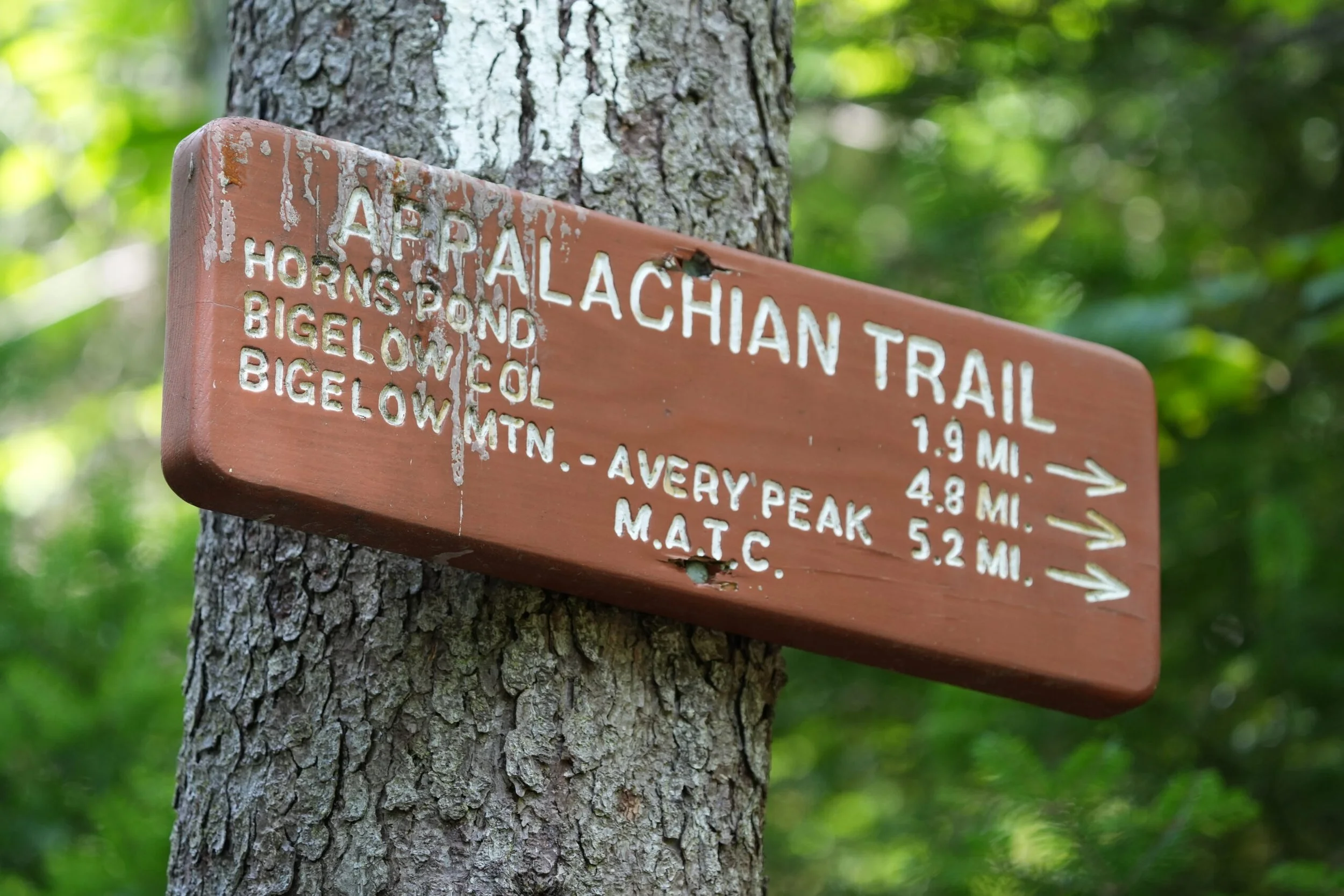 Climbing Bigelow Mountain: A Father-Daughter Adventure in the Clouds