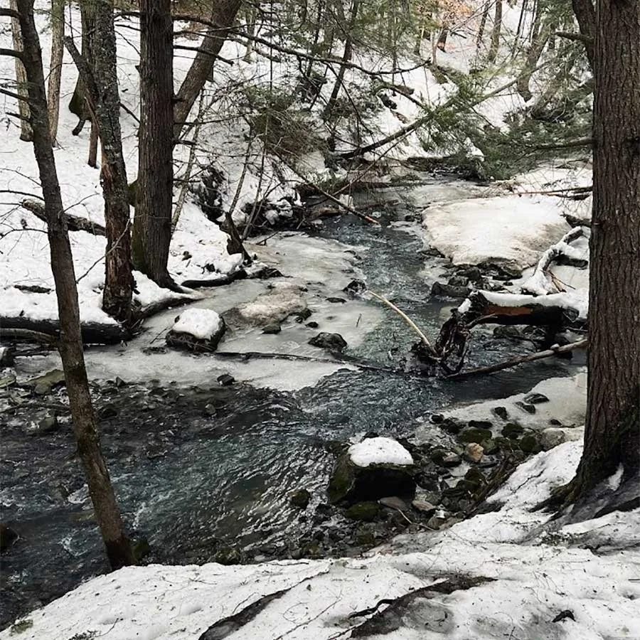 Wandering Pratt’s Brook Park the Morning After a Big Snow